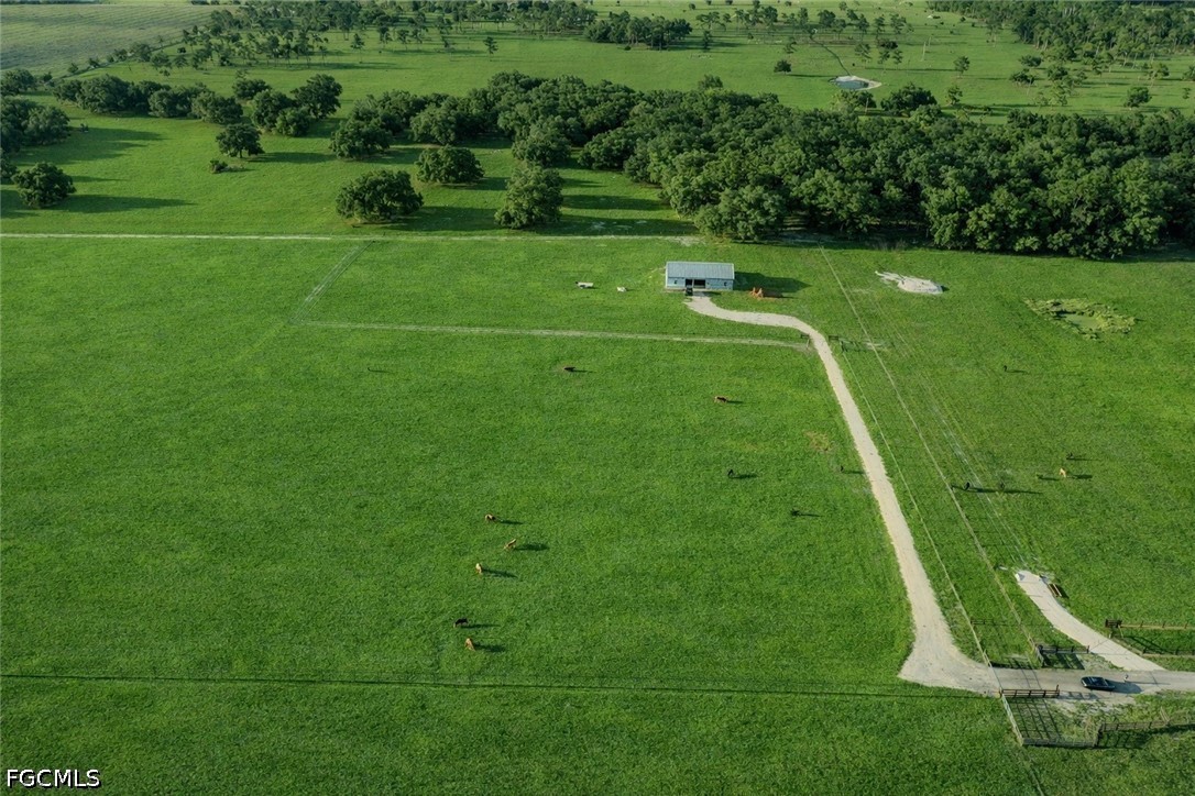 595 Norris Road LaBelle, FL 33935 - Photo 20 of 22