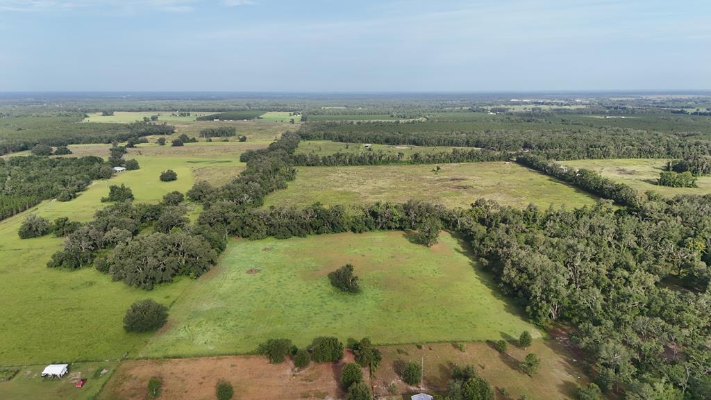 Vacant 145th Road Live Oak, FL 32060 - Photo 13 of 42