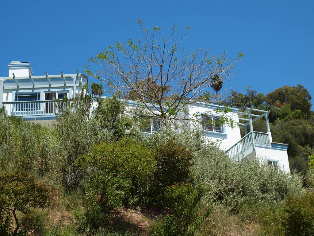 1498 Farnham Road Ojai, CA 93023 - Photo 1 of 10 a view of a flower in a garden