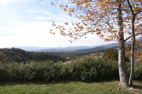 1498 Farnham Road Ojai, CA 93023 - Photo 3 of 10 a view of mountain with trees in the background