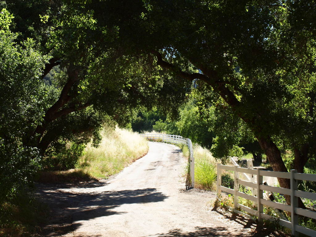 1498 Farnham Road Ojai, CA 93023 - Photo 4 of 10 a view of yard