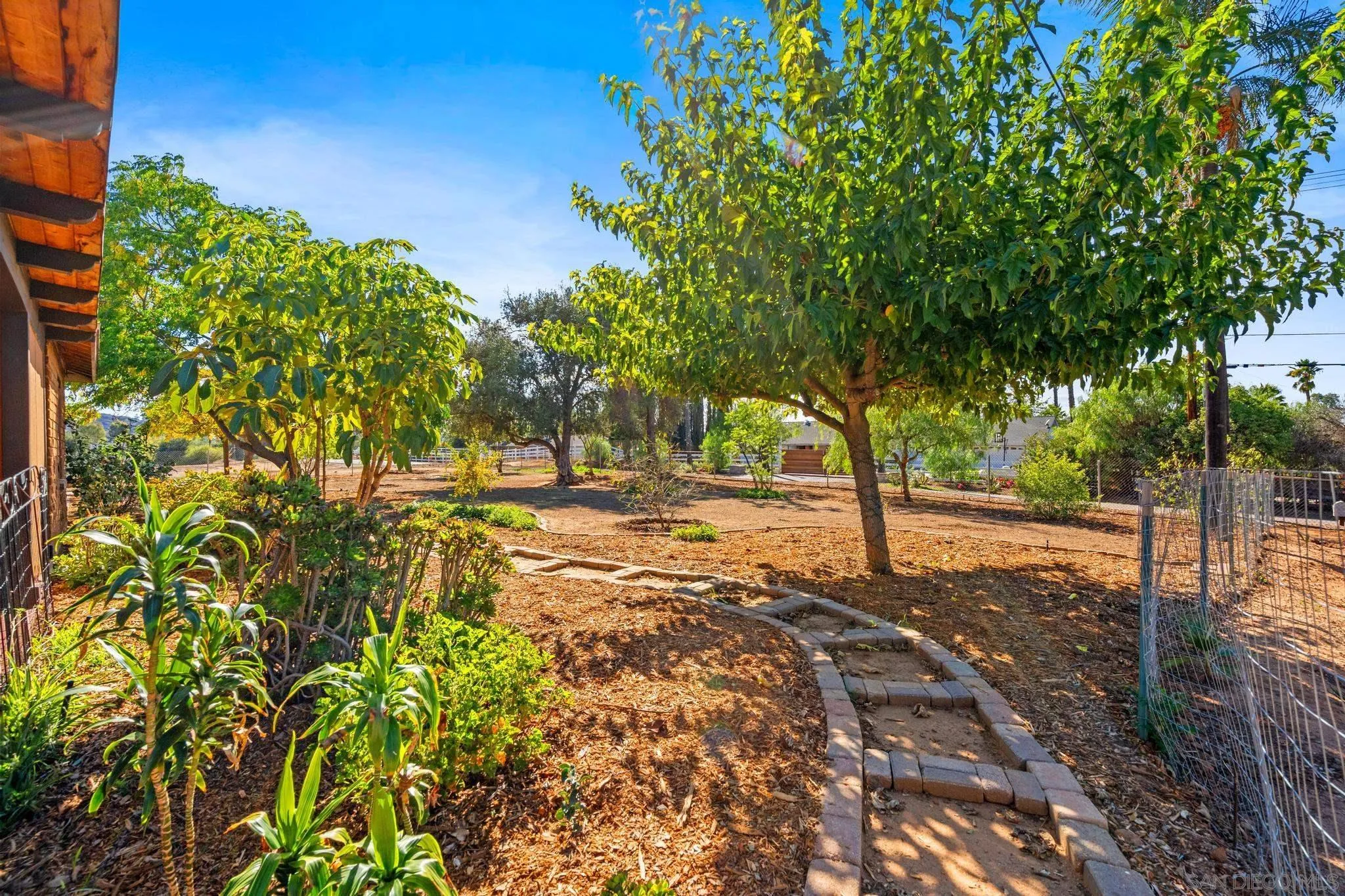 1550 Keyes Road Ramona, CA 92065 - Photo 6 of 59