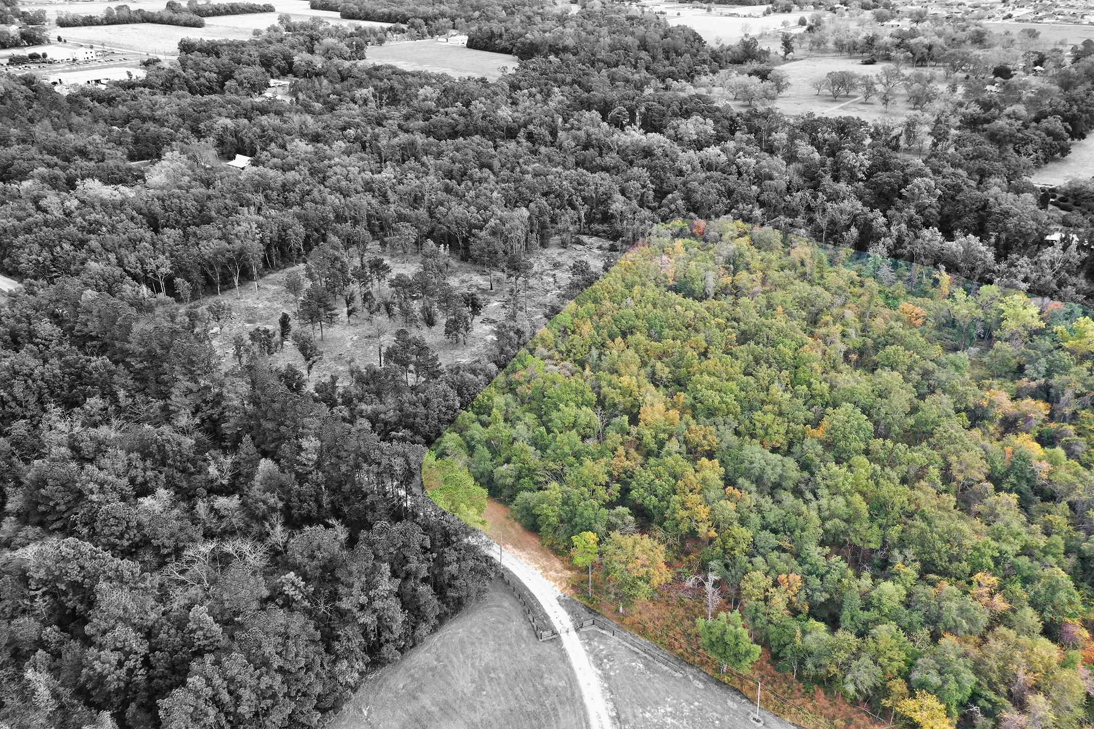 1 Sanca Lane Silverhill, AL 36576 - Photo 6 of 11