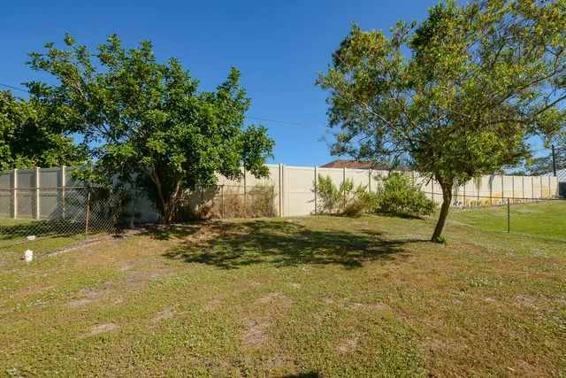 a view of a tree with a yard