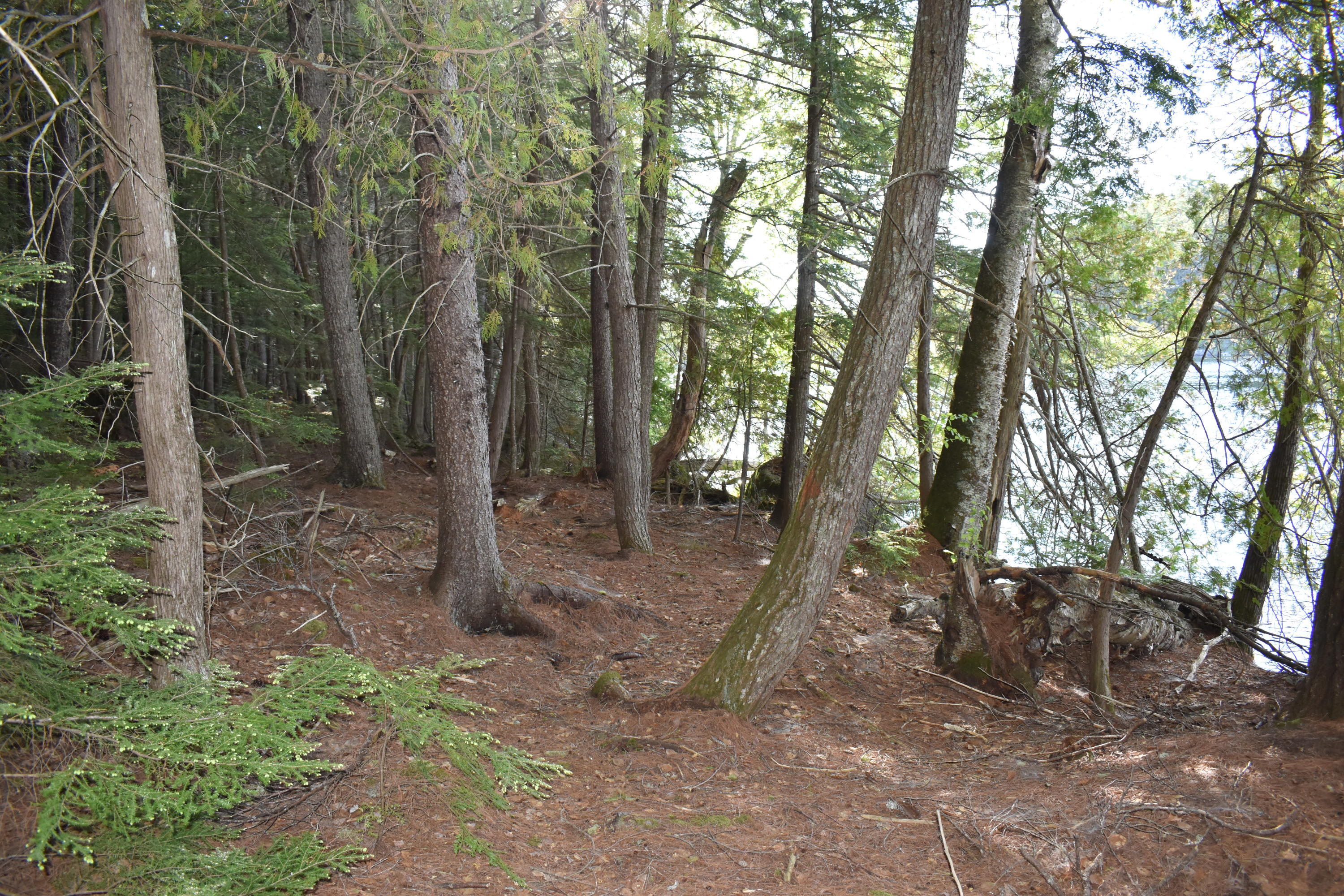 Lot 1-b-9 Lot 1-b-9 Road Weston, ME 04424 - Photo 5 of 22 DSC_0157