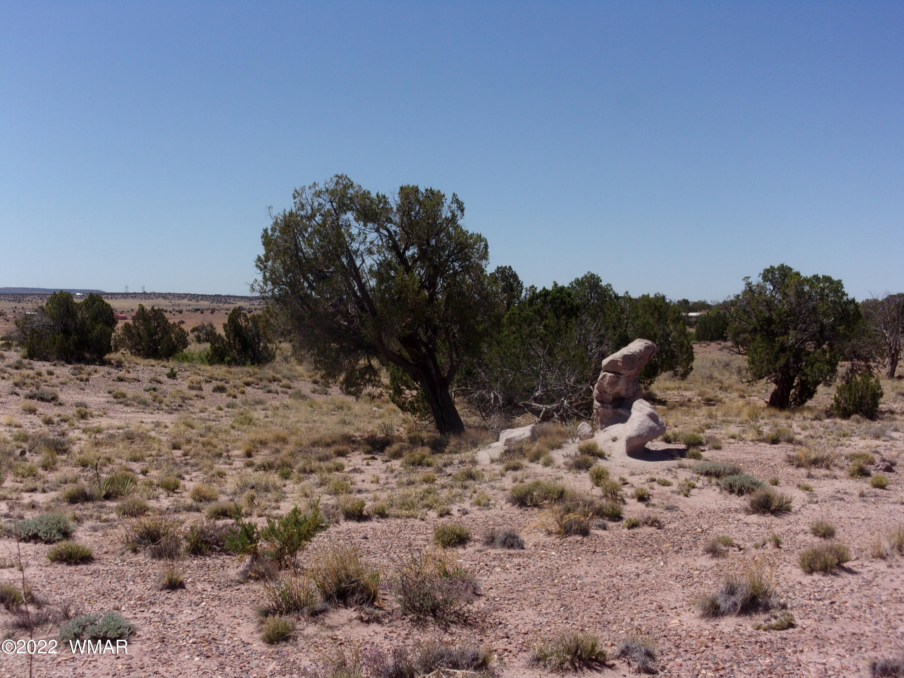 5472 Concho Ocho Road Snowflake, AZ 85937 - Photo 3 of 10 Gallery Image 3