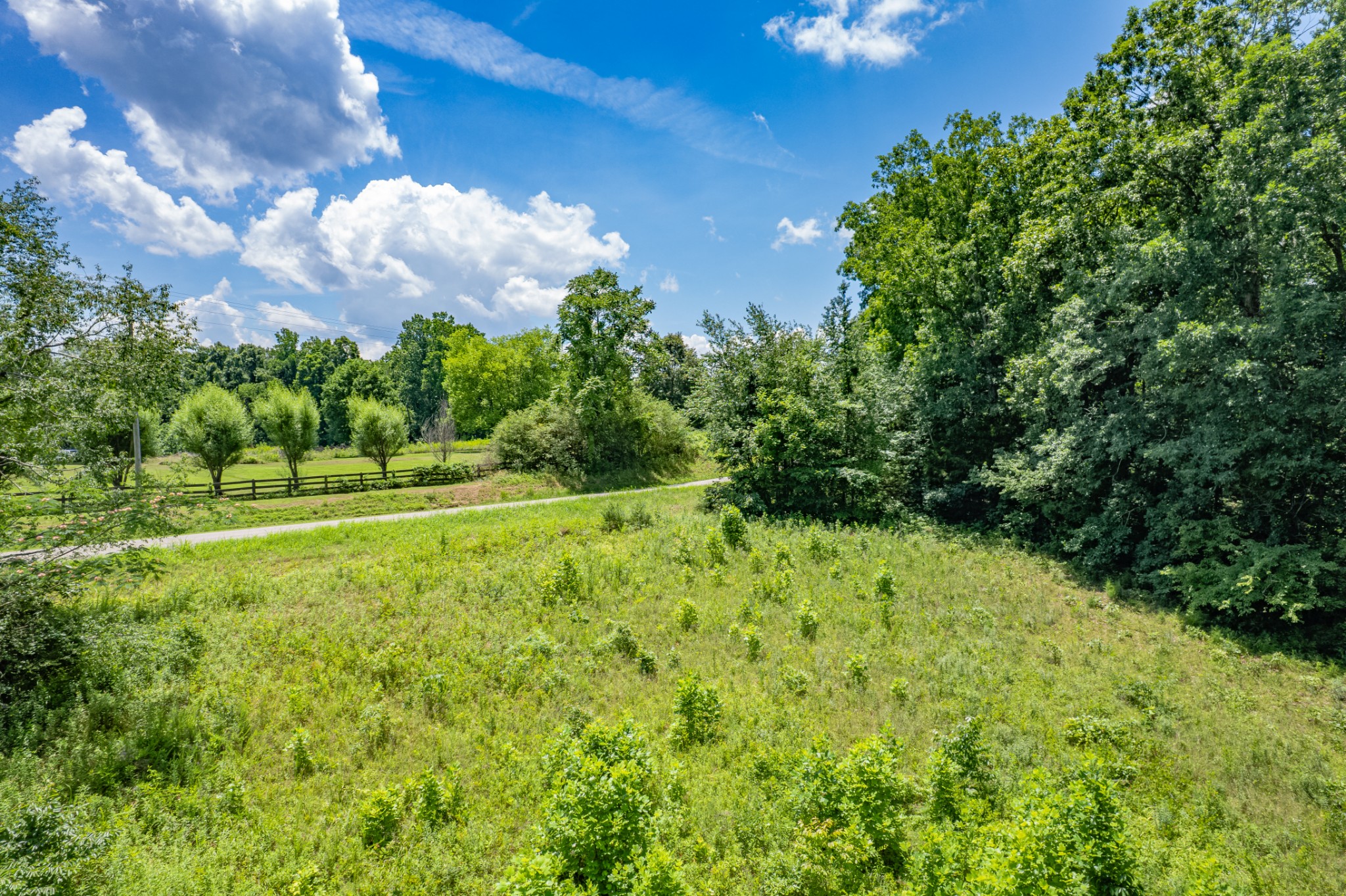 0 Mobley Ridge Road Duck River, TN 38454 - Photo 23 of 35 a view of a garden