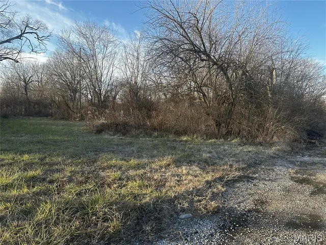 $13,000 | 2031 North 42nd Street, East St. Louis, IL 62204