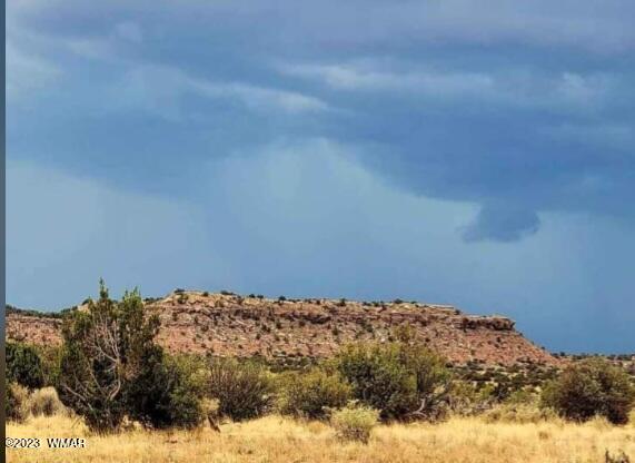3645 Jordan Road Snowflake, AZ 85937 - Photo 9 of 9 Gallery Image 9