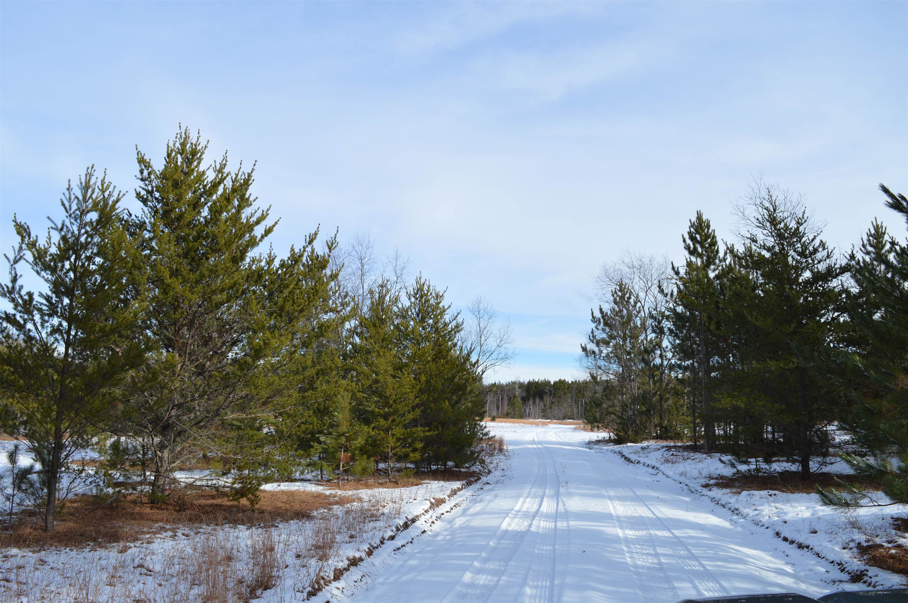 Off Wood Road Northeast Kalkaska, MI 49646 - Photo 3 of 22