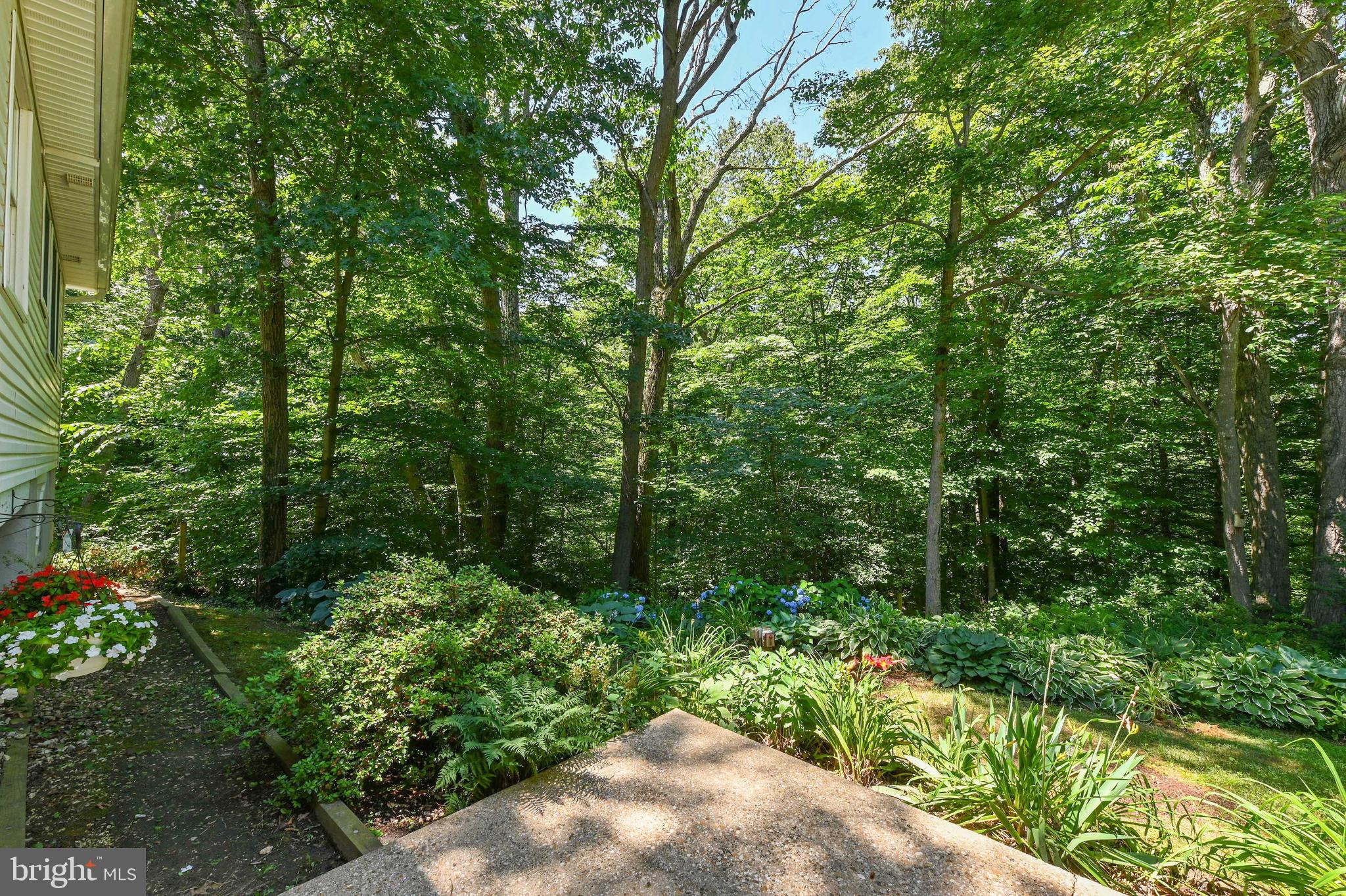 1960 Valley Road Annapolis, MD 21401 - Photo 35 of 45 Completely private rear yard