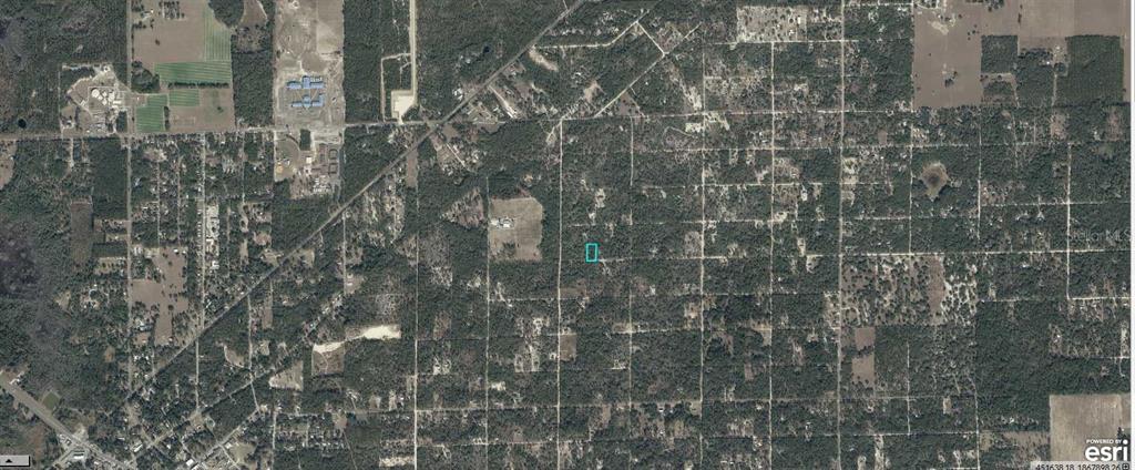 3381 Northeast 85th Street Bronson, FL 32621 - Photo 11 of 11