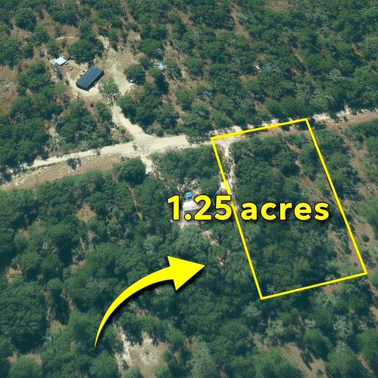 3381 Northeast 85th Street Bronson, FL 32621 - Photo 4 of 11