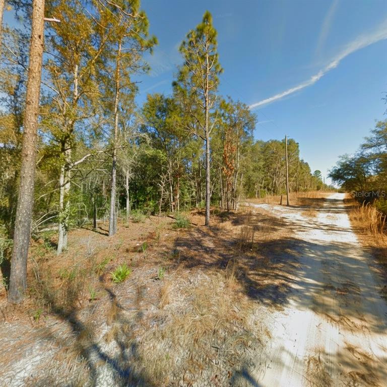 3381 Northeast 85th Street Bronson, FL 32621 - Photo 7 of 11