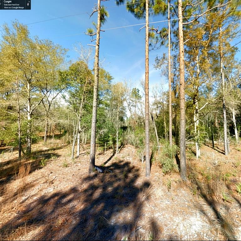 3381 Northeast 85th Street Bronson, FL 32621 - Photo 8 of 11