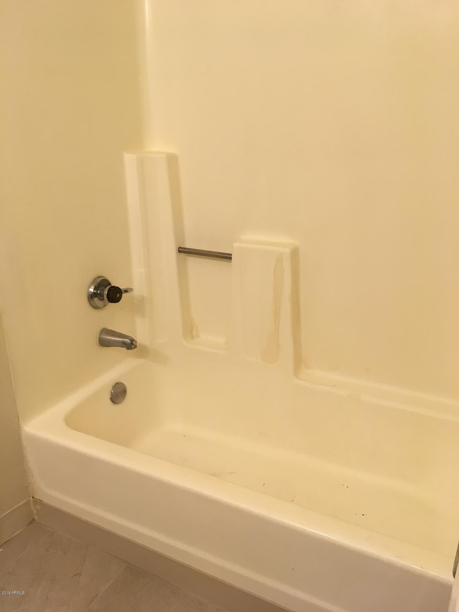 747 South Ext Road, Unit 117 Mesa, AZ 85210 - Photo 12 of 15 Master bathtub