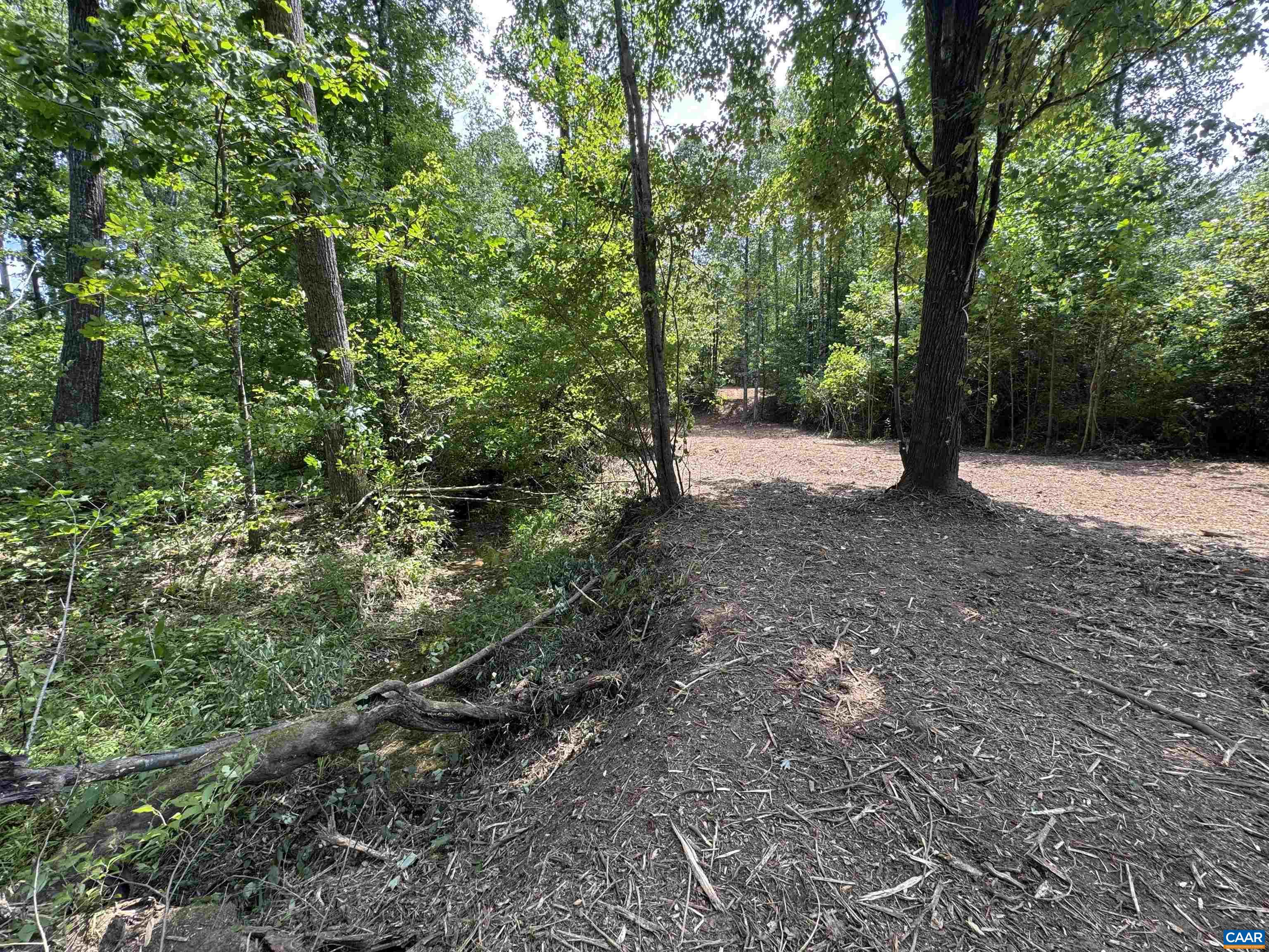 Watt Abbitt Road Appomattox, VA 24522 - Photo 5 of 17 Gallery Image 5