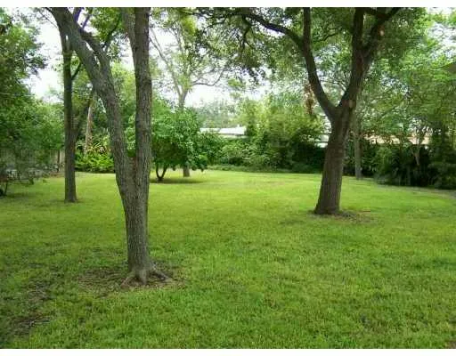 a view of a trees with a yard