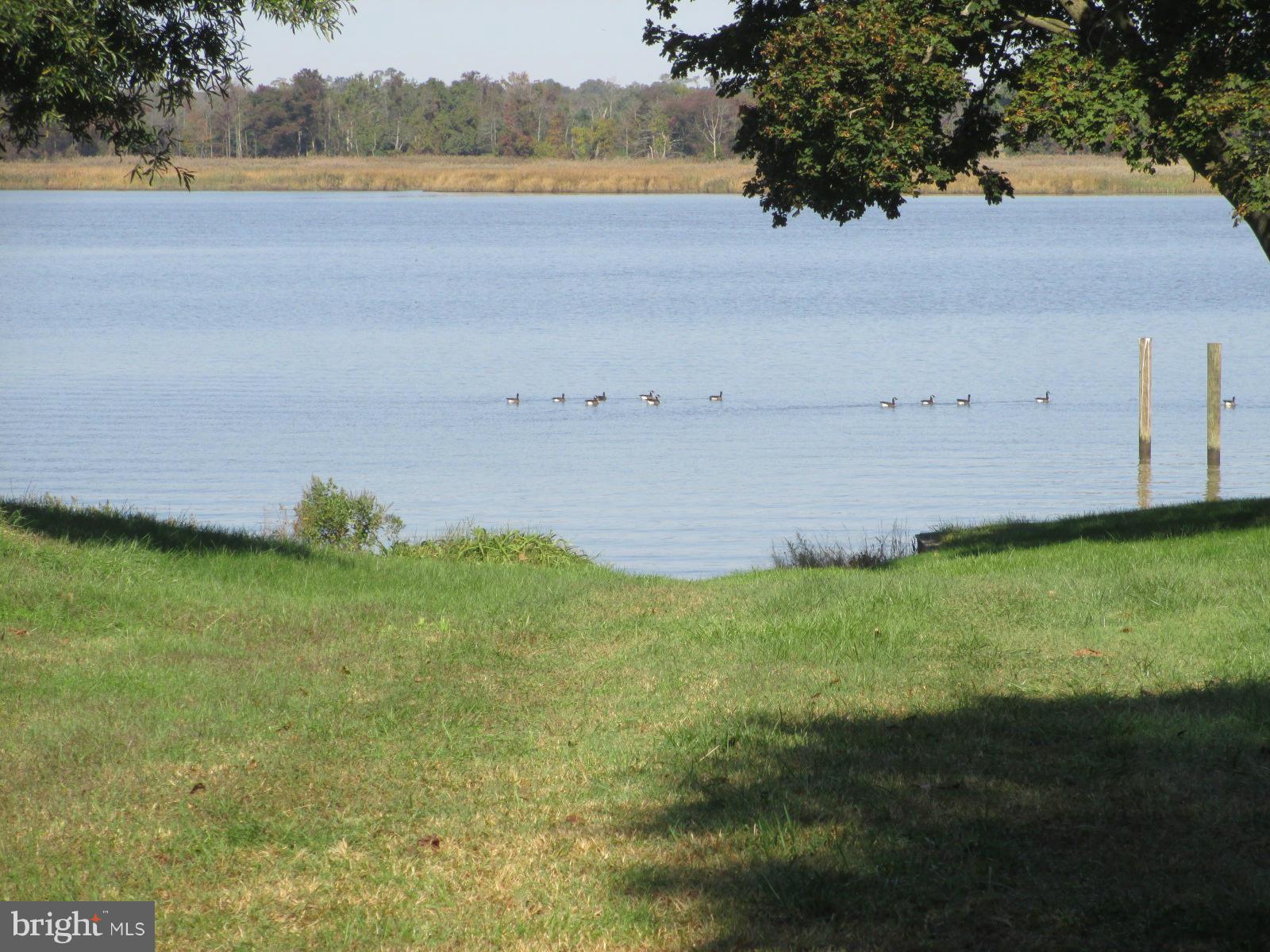 401 Pear Tree Point Road Chestertown, MD 21620 - Photo 3 of 16 Community