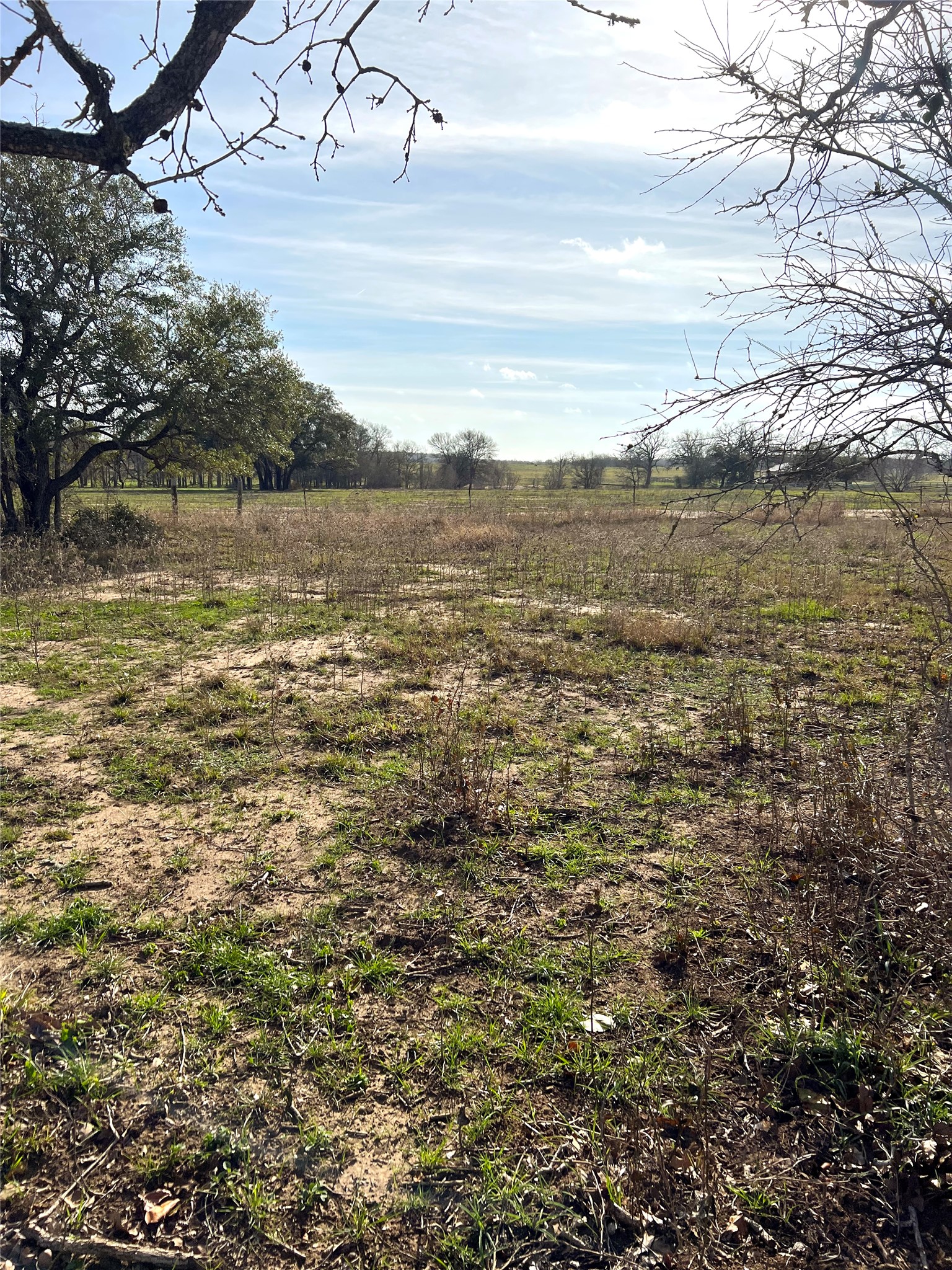 5165 Tenney Creek Road Luling, TX 78648 - Photo 11 of 25 View of yard with a view of countryside