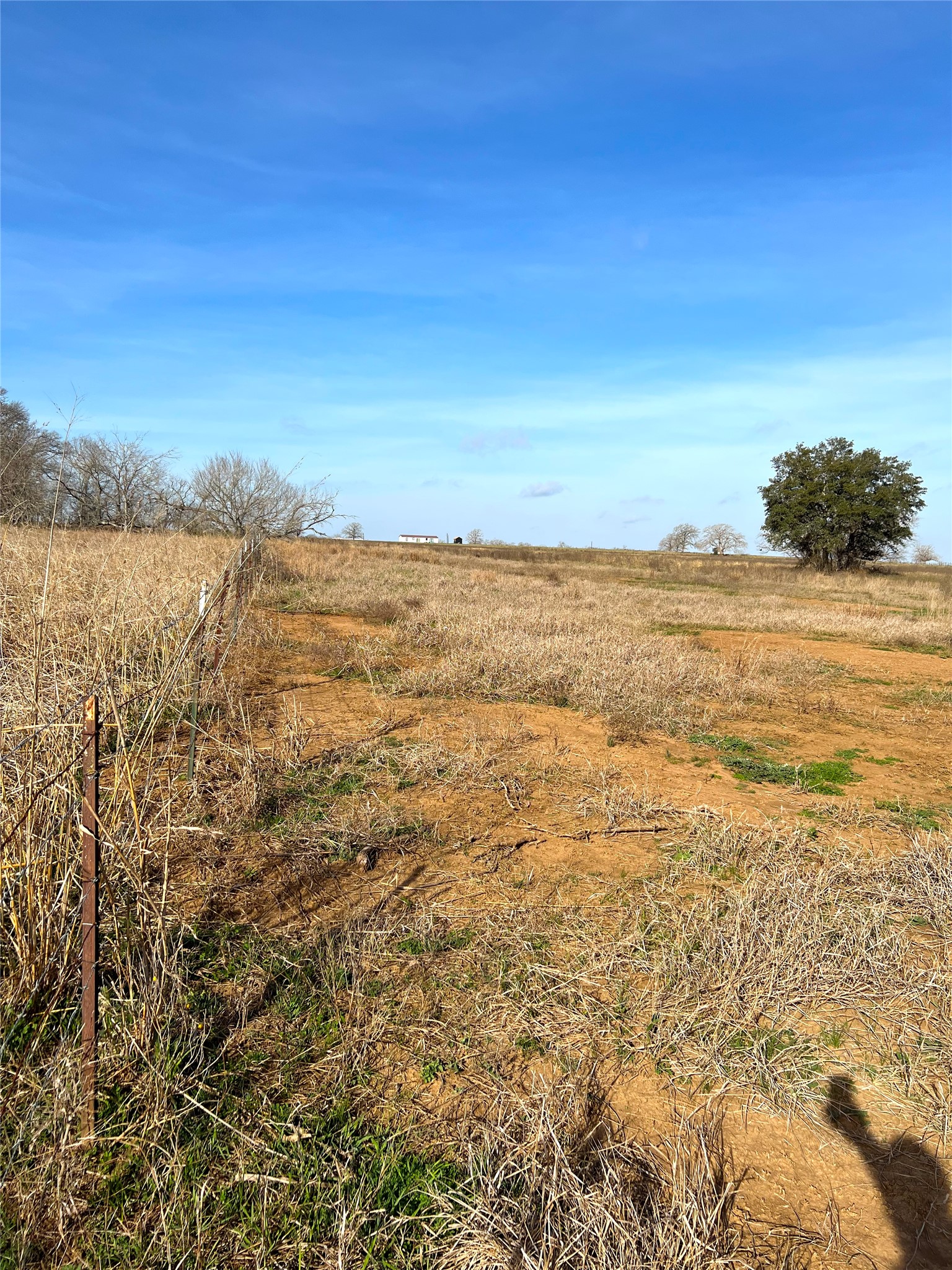5165 Tenney Creek Road Luling, TX 78648 - Photo 13 of 25 View of local wilderness featuring rural landscape