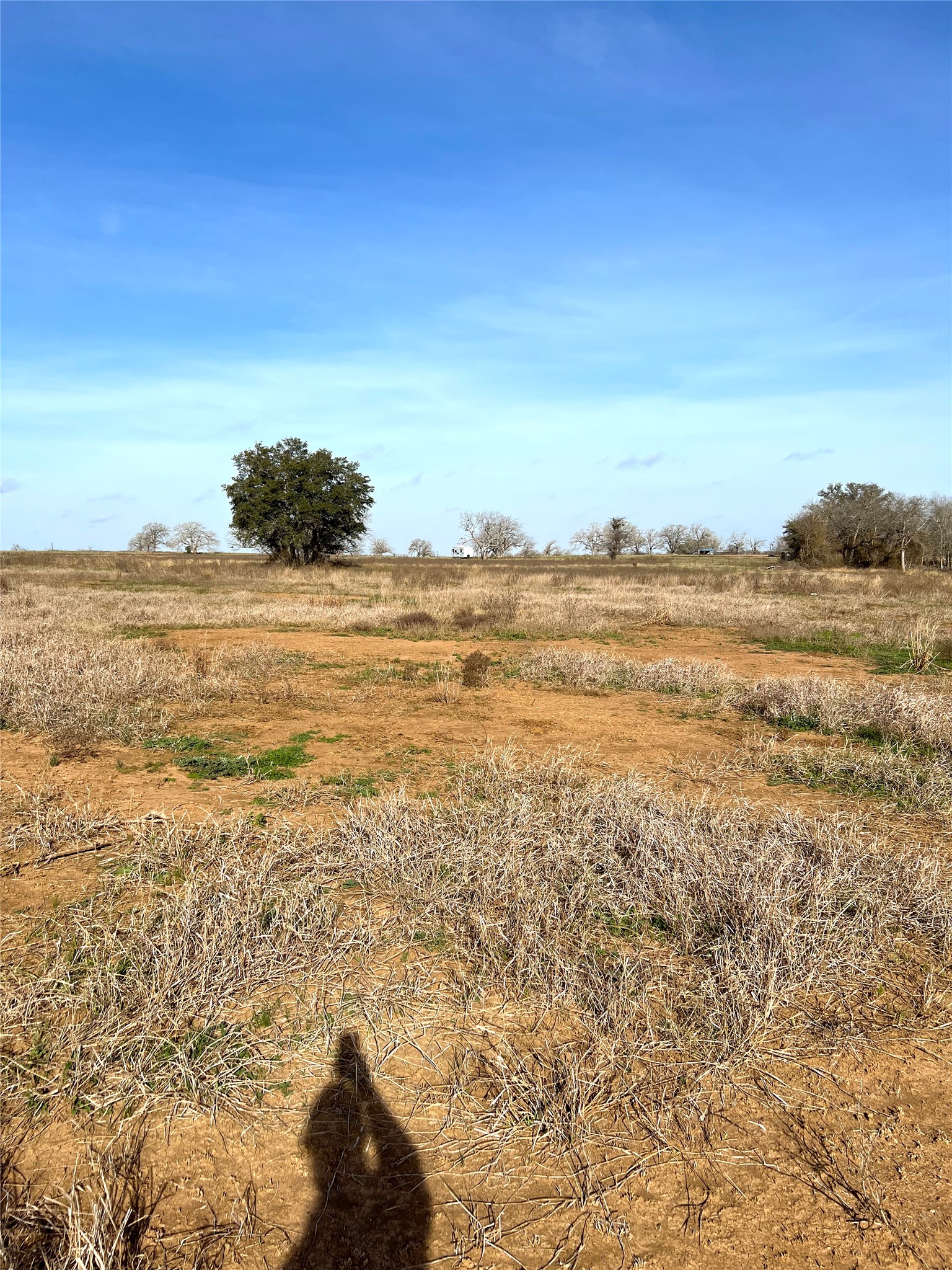 5165 Tenney Creek Road Luling, TX 78648 - Photo 14 of 25 View of undeveloped land featuring rural landscape