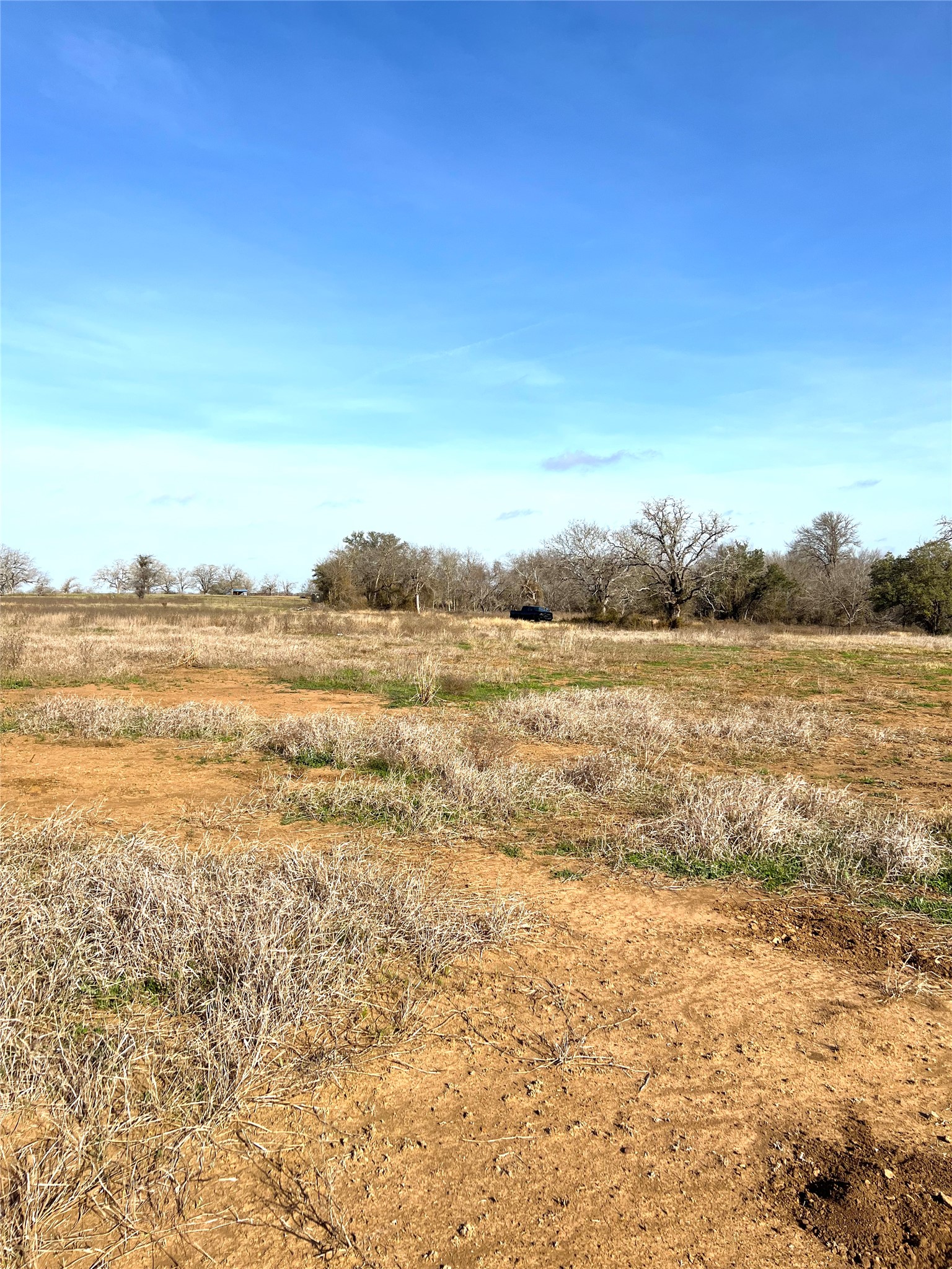5165 Tenney Creek Road Luling, TX 78648 - Photo 15 of 25 View of local wilderness featuring rural landscape