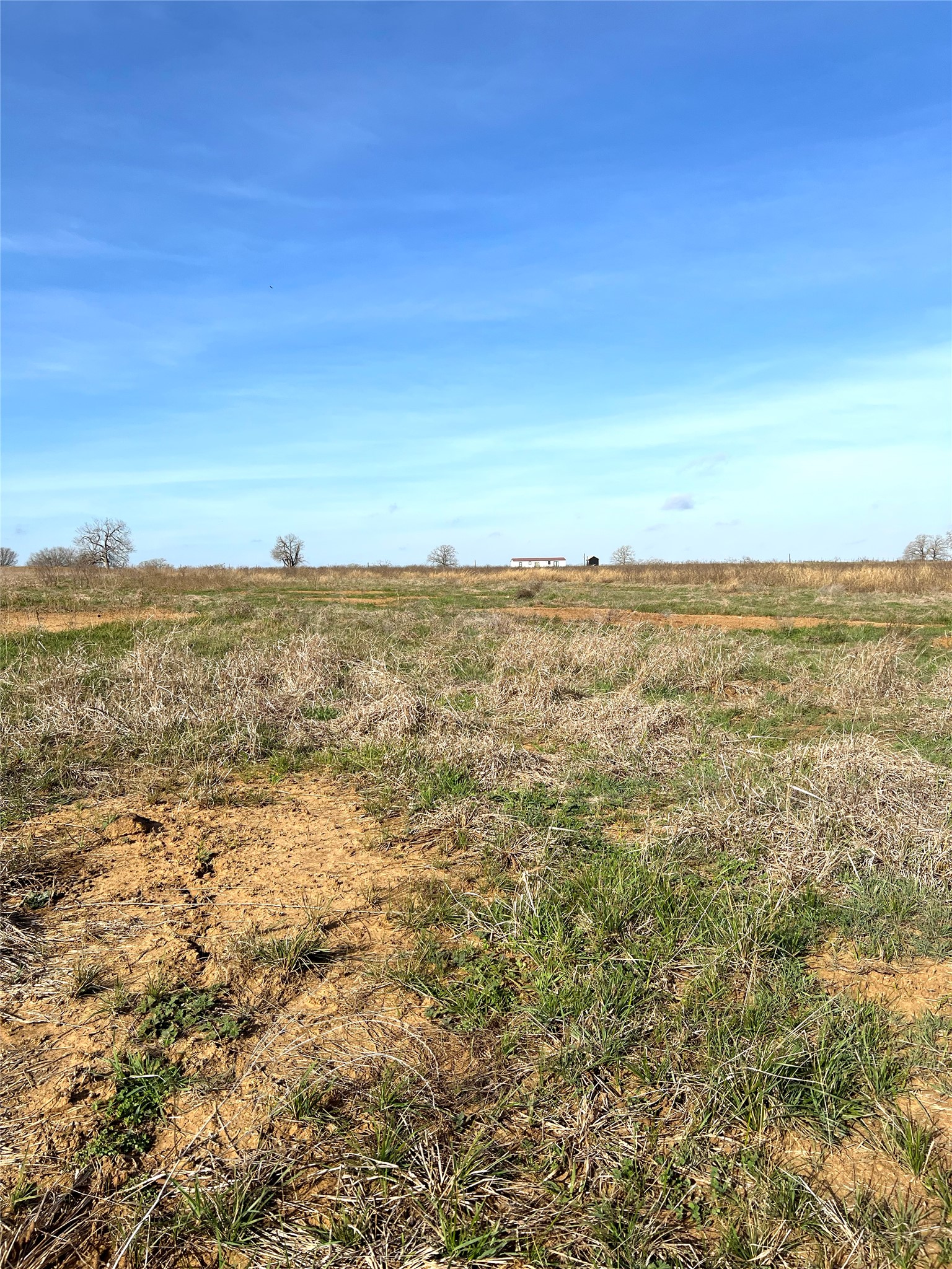 5165 Tenney Creek Road Luling, TX 78648 - Photo 18 of 25 View of undeveloped land with rural landscape