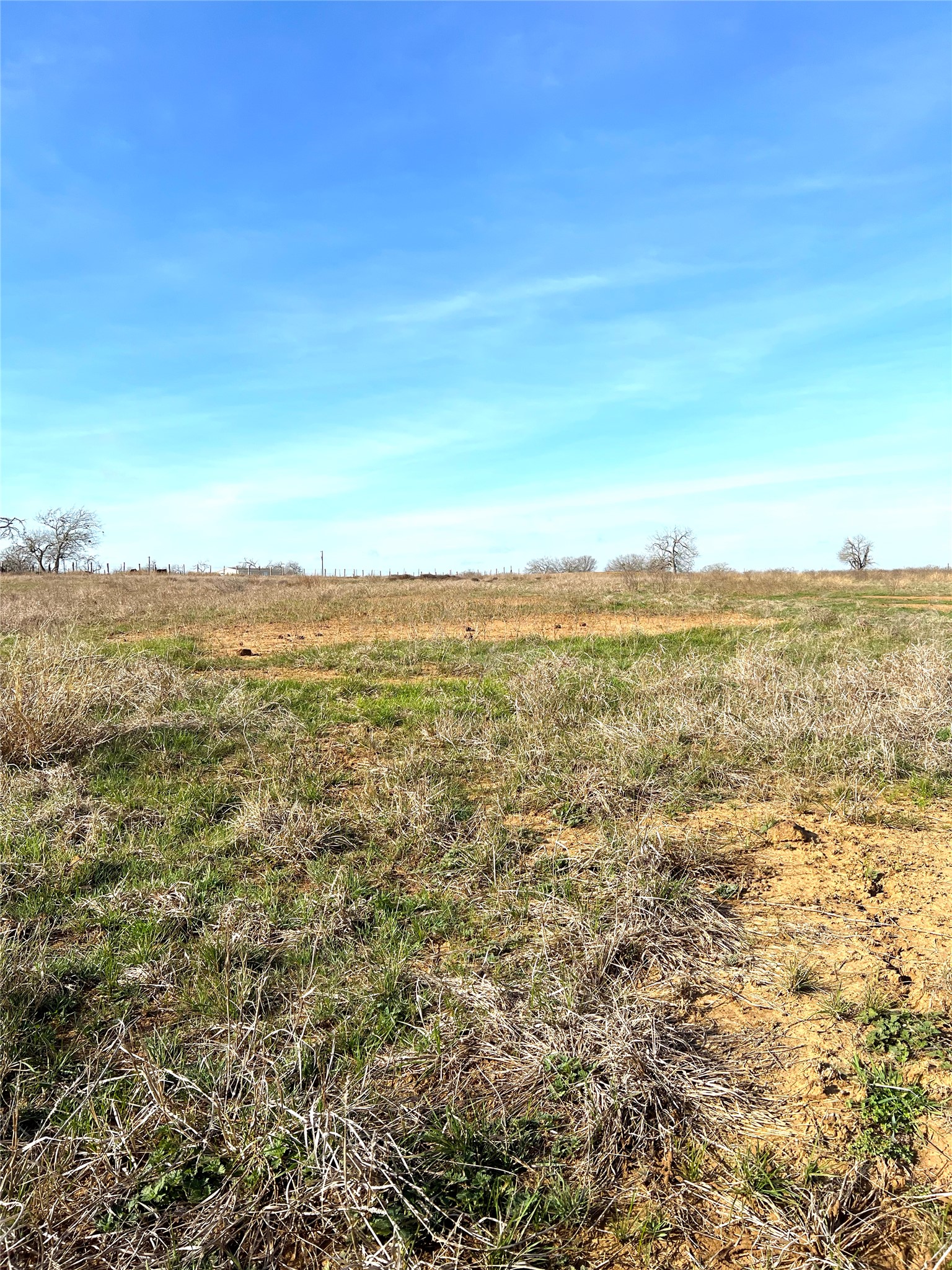 5165 Tenney Creek Road Luling, TX 78648 - Photo 19 of 25 View of local wilderness with rural landscape