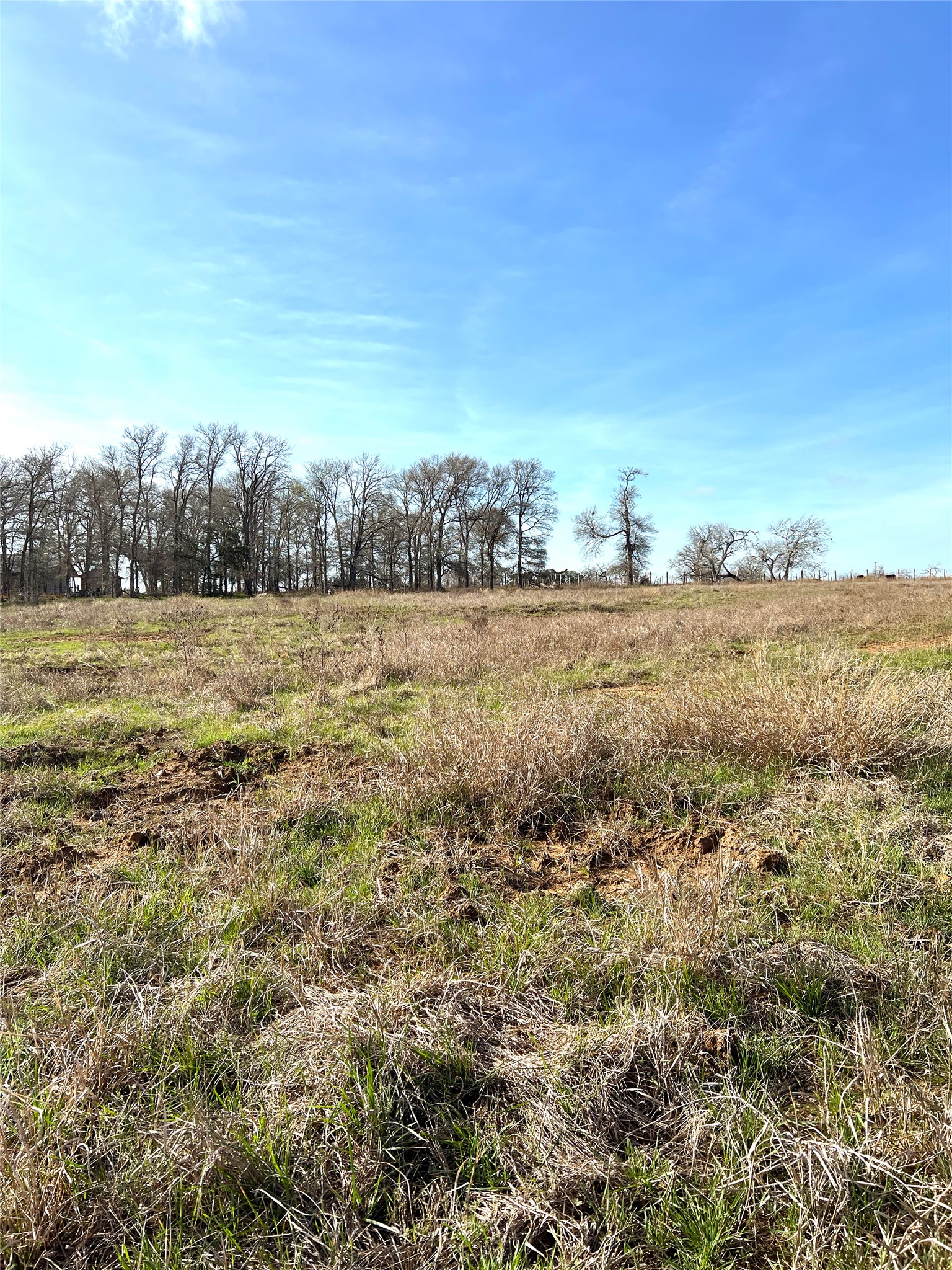 5165 Tenney Creek Road Luling, TX 78648 - Photo 20 of 25 View of undeveloped land with rural landscape