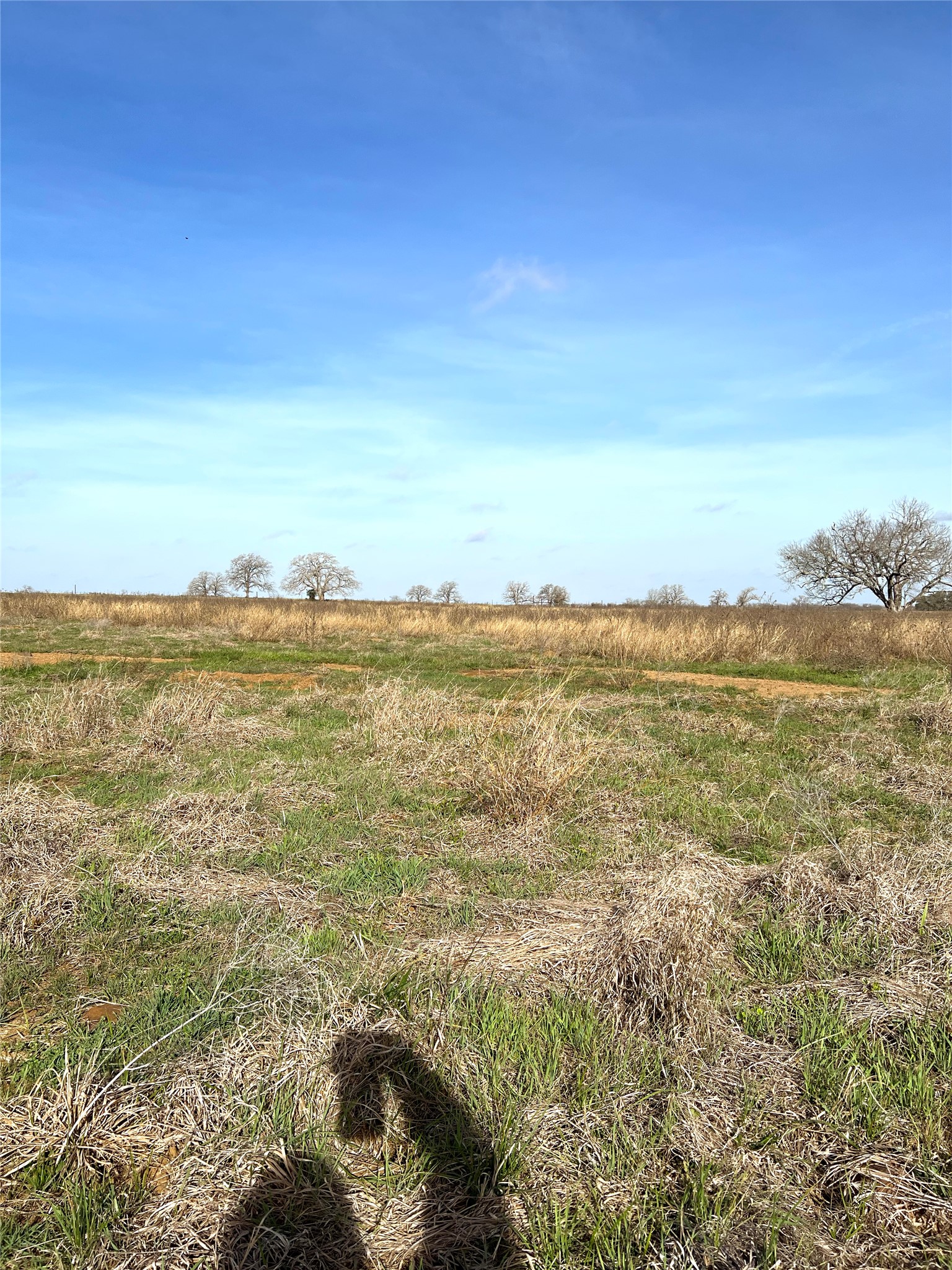5165 Tenney Creek Road Luling, TX 78648 - Photo 21 of 25 View of yard with a view of rural / pastoral area