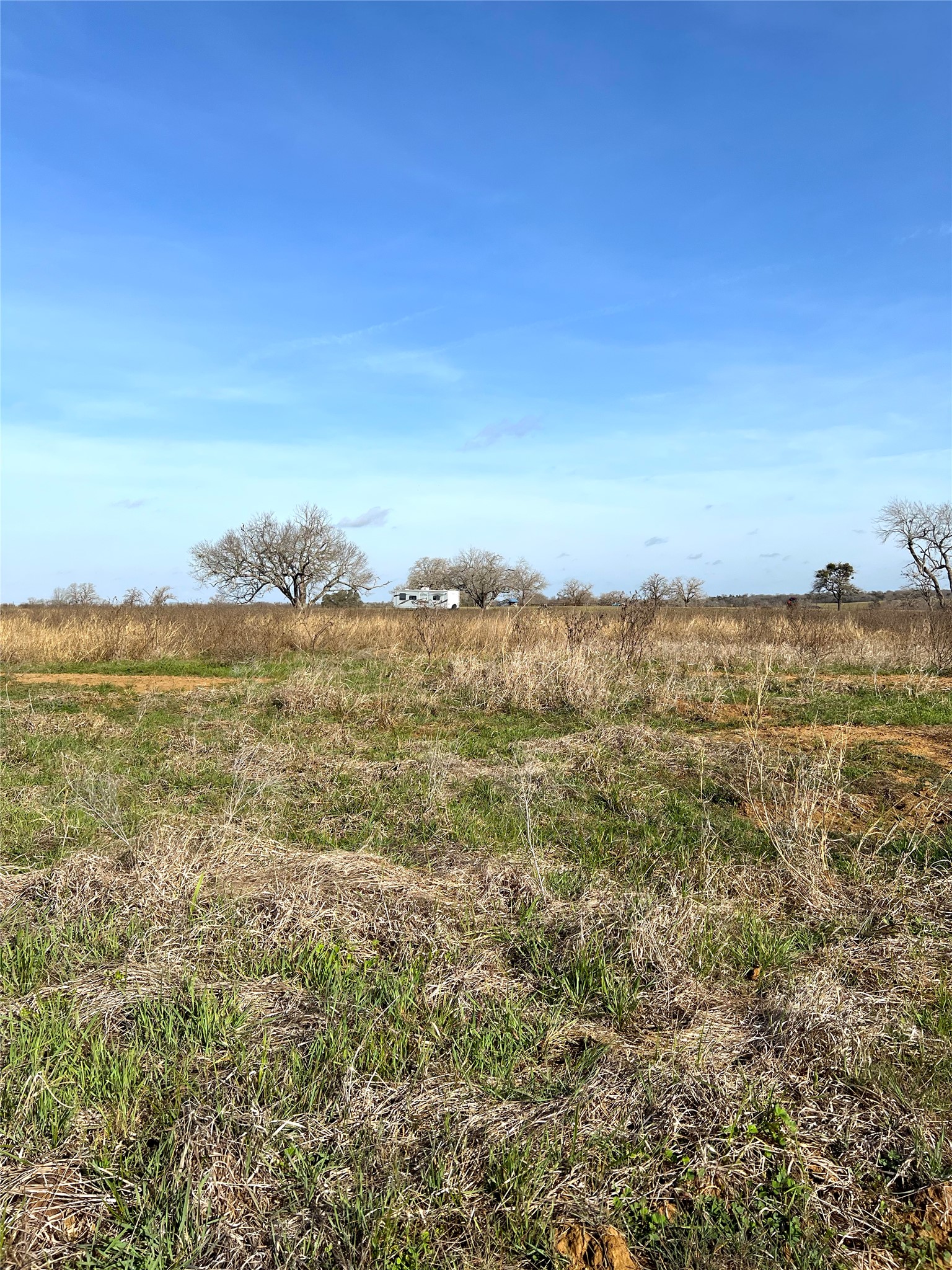 5165 Tenney Creek Road Luling, TX 78648 - Photo 22 of 25 View of yard with a view of rural / pastoral area