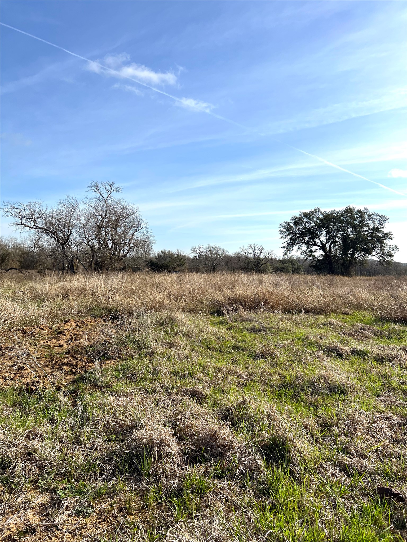 5165 Tenney Creek Road Luling, TX 78648 - Photo 24 of 25 View of local wilderness featuring rural landscape