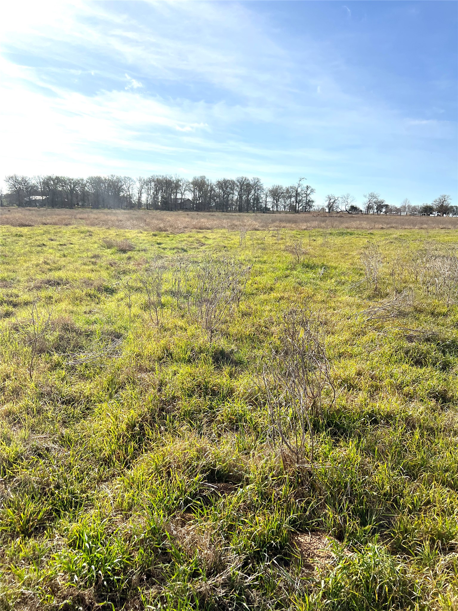5165 Tenney Creek Road Luling, TX 78648 - Photo 3 of 25 View of local wilderness featuring rural landscape