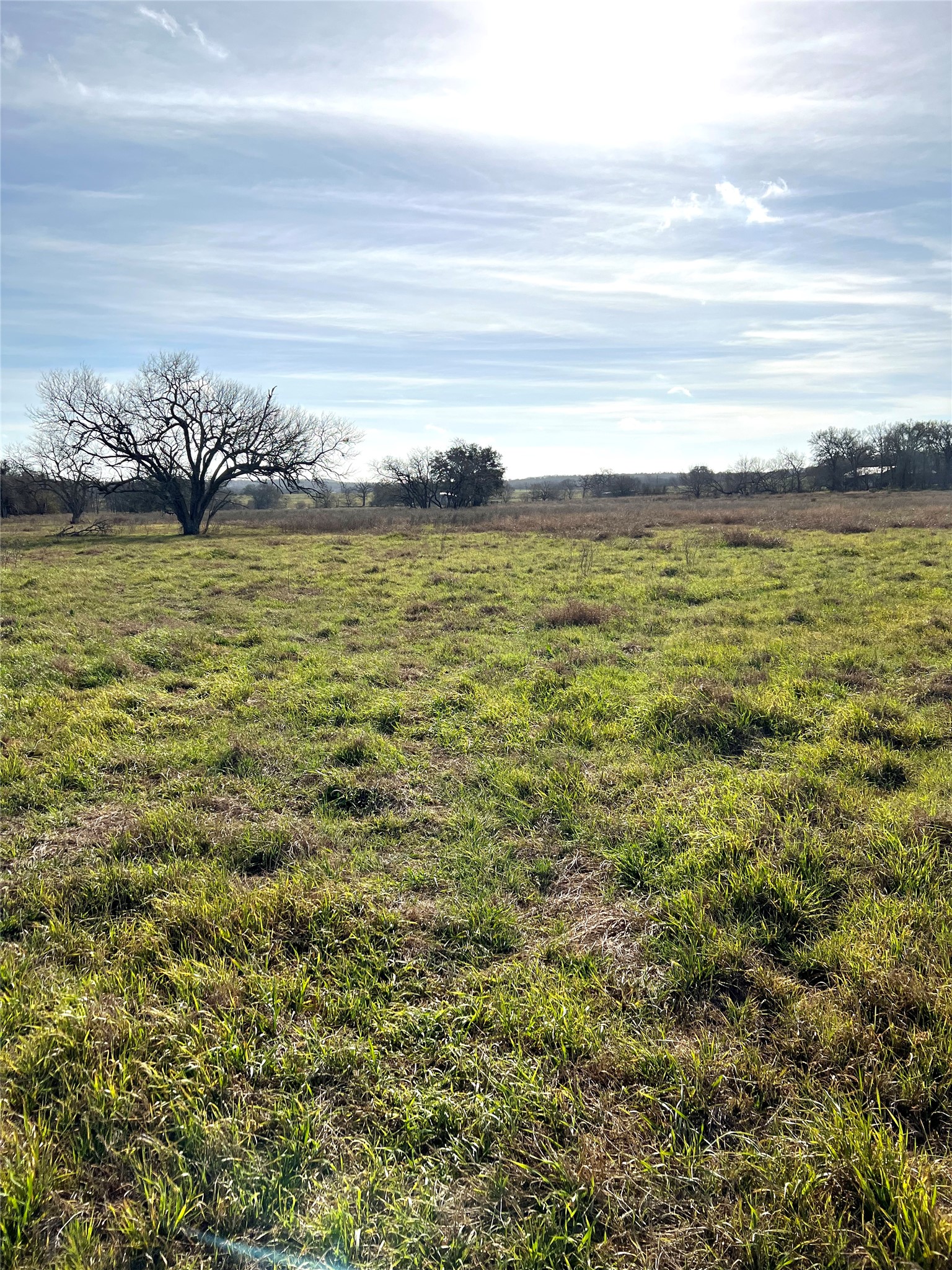 5165 Tenney Creek Road Luling, TX 78648 - Photo 4 of 25 View of yard with a view of rural / pastoral area