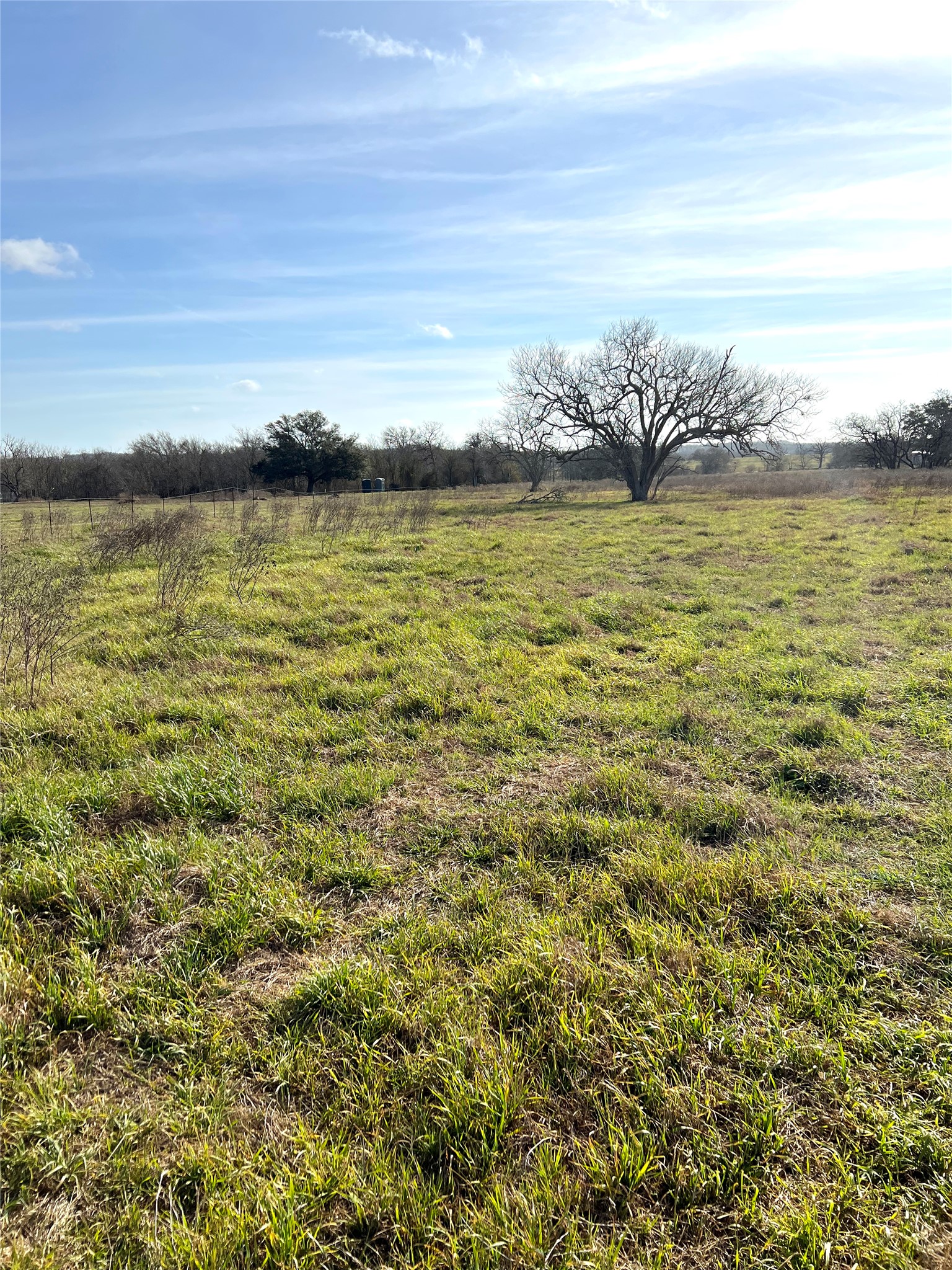 5165 Tenney Creek Road Luling, TX 78648 - Photo 5 of 25 View of yard with a view of countryside