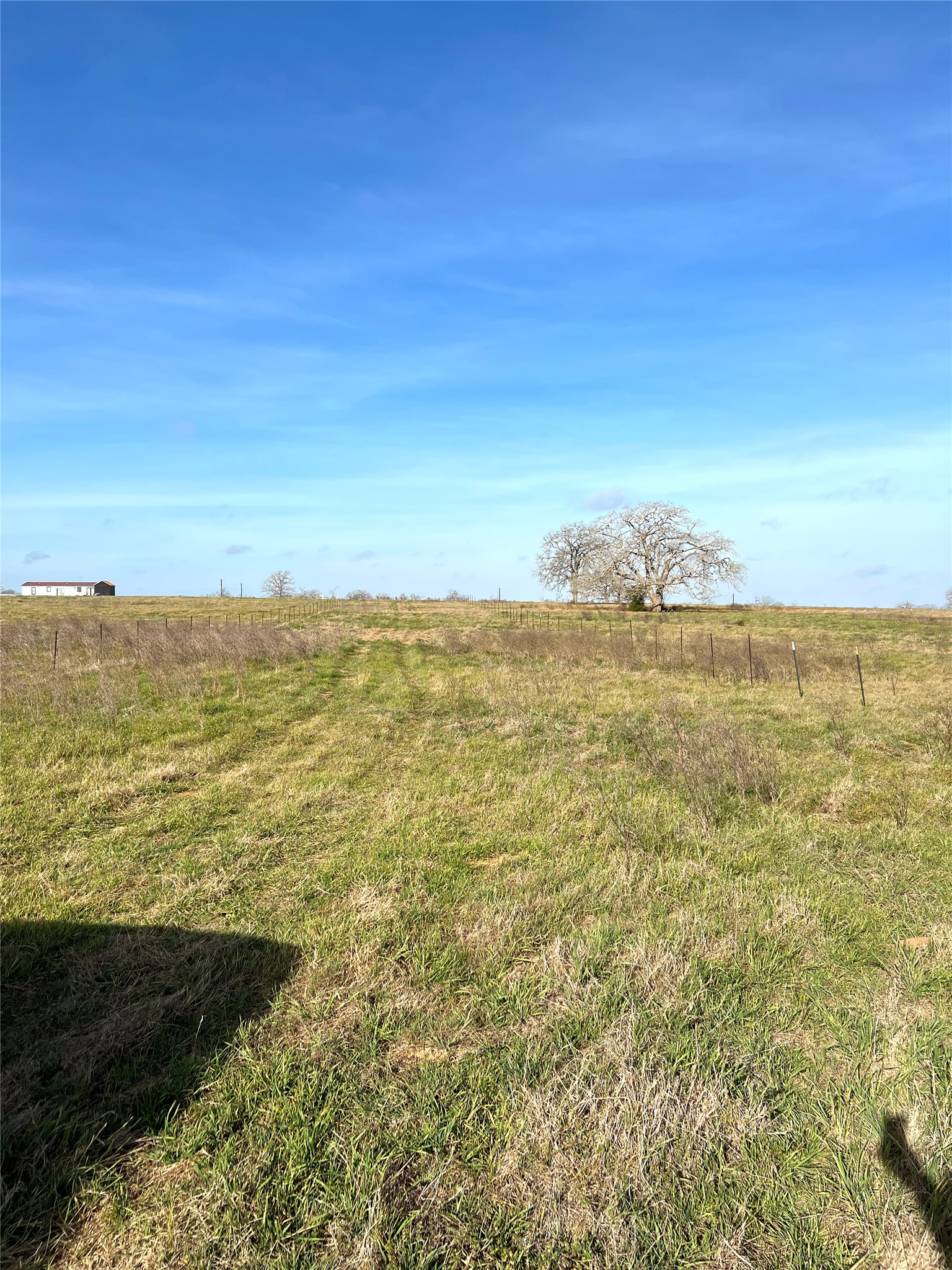 5165 Tenney Creek Road Luling, TX 78648 - Photo 6 of 25 View of grassy yard with a view of rural / pastoral area