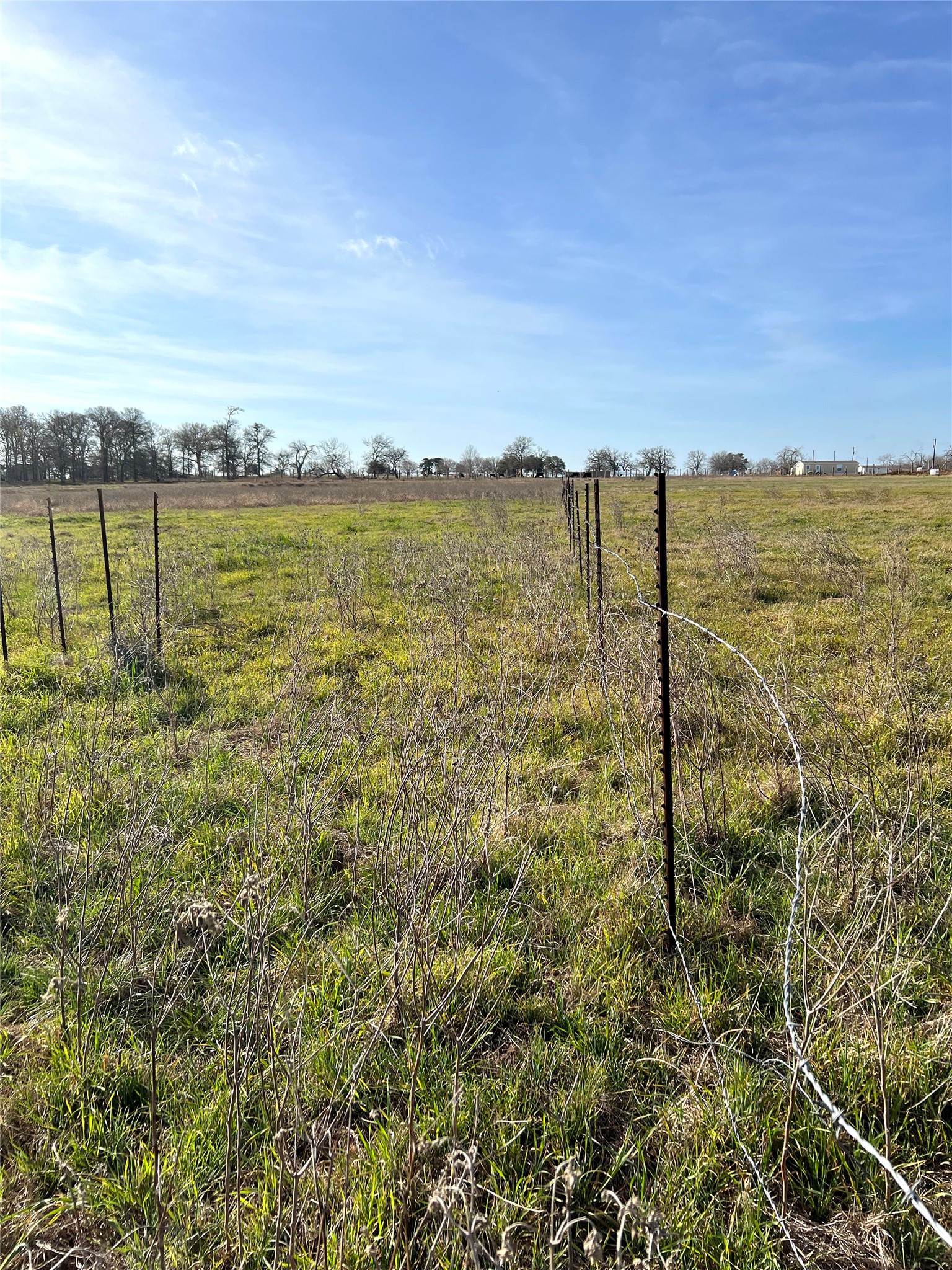 5165 Tenney Creek Road Luling, TX 78648 - Photo 8 of 25 View of yard with a view of rural / pastoral area