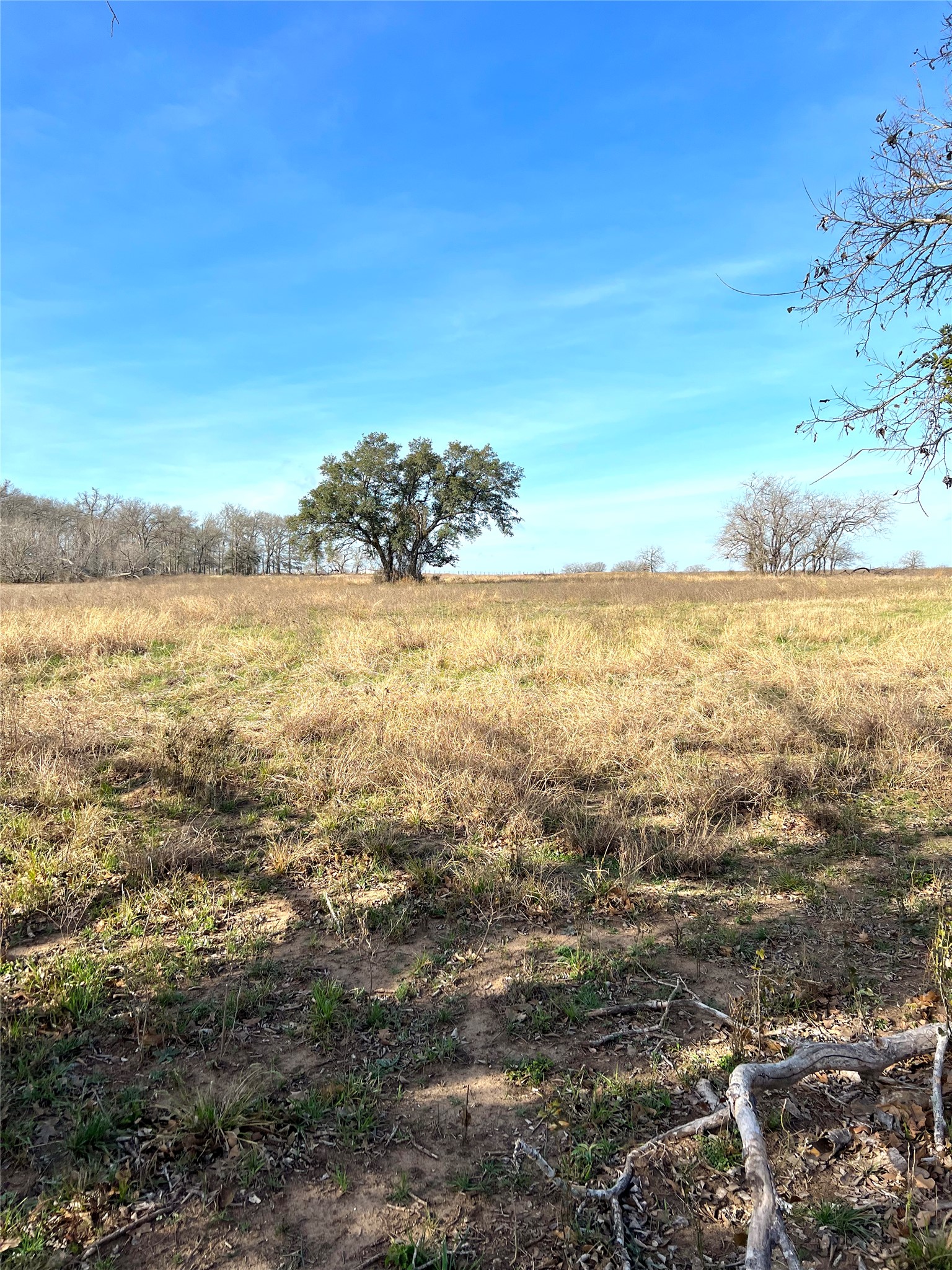5165 Tenney Creek Road Luling, TX 78648 - Photo 9 of 25 View of nature featuring rural landscape