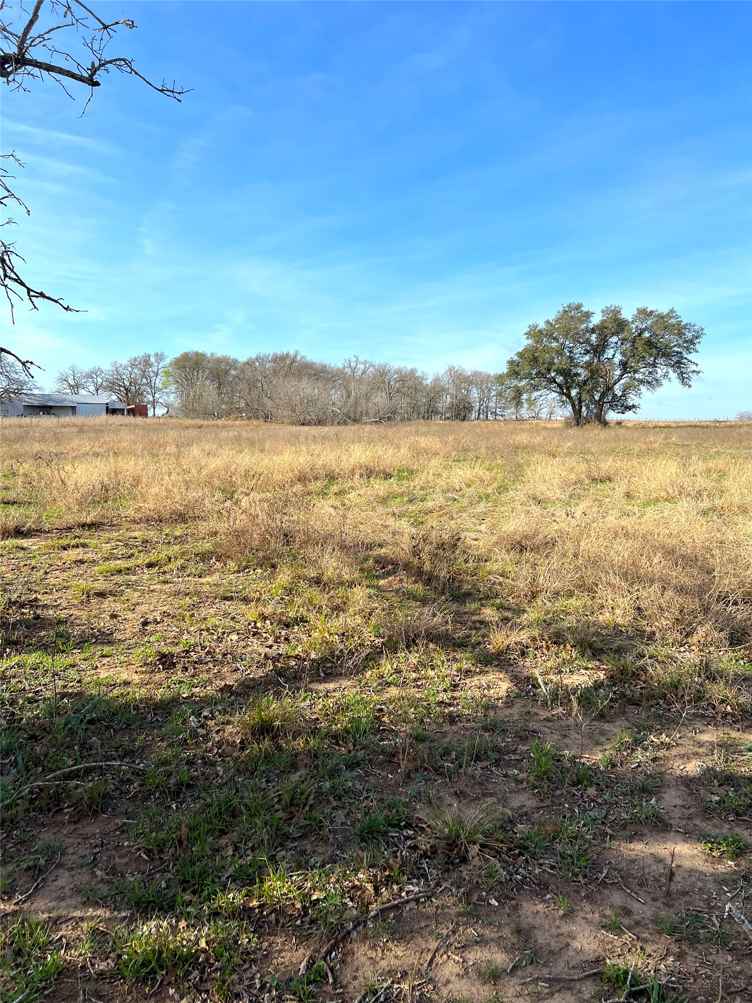 5165 Tenney Creek Road Luling, TX 78648 - Photo 10 of 25 View of local wilderness with rural landscape