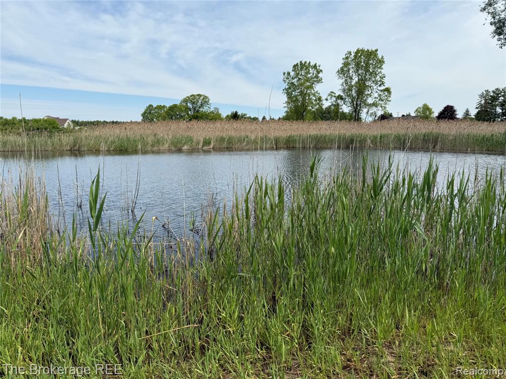3020 Merwin Road Lapeer, MI 48446 - Photo 13 of 33