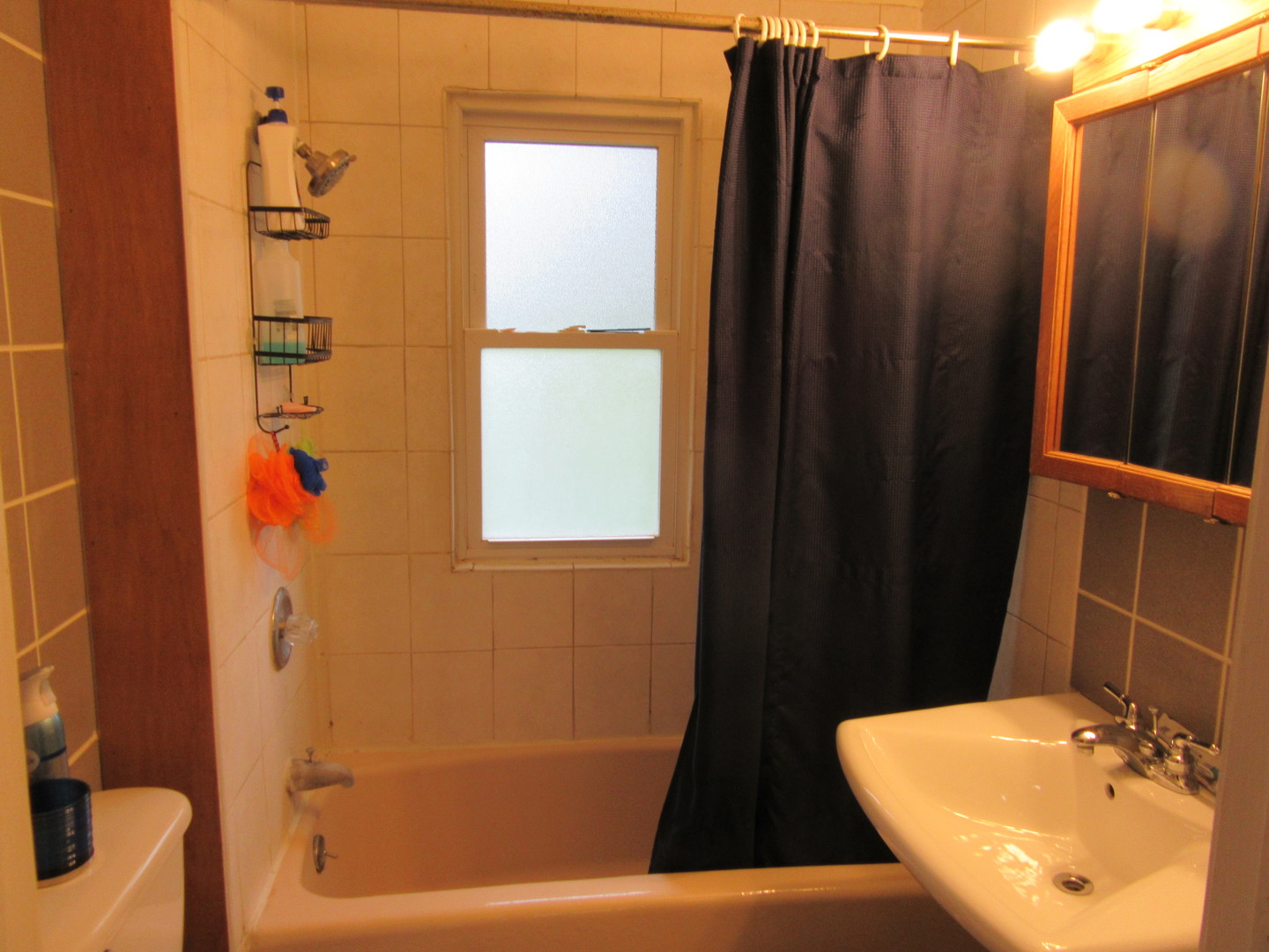 305 East Division Street Lockport, IL 60441 - Photo 12 of 15