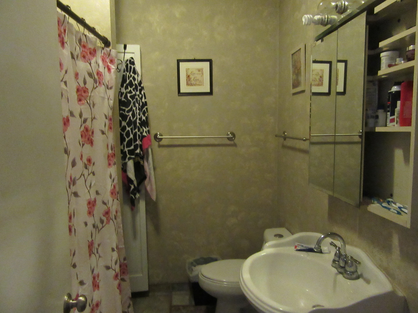 305 East Division Street Lockport, IL 60441 - Photo 5 of 15
