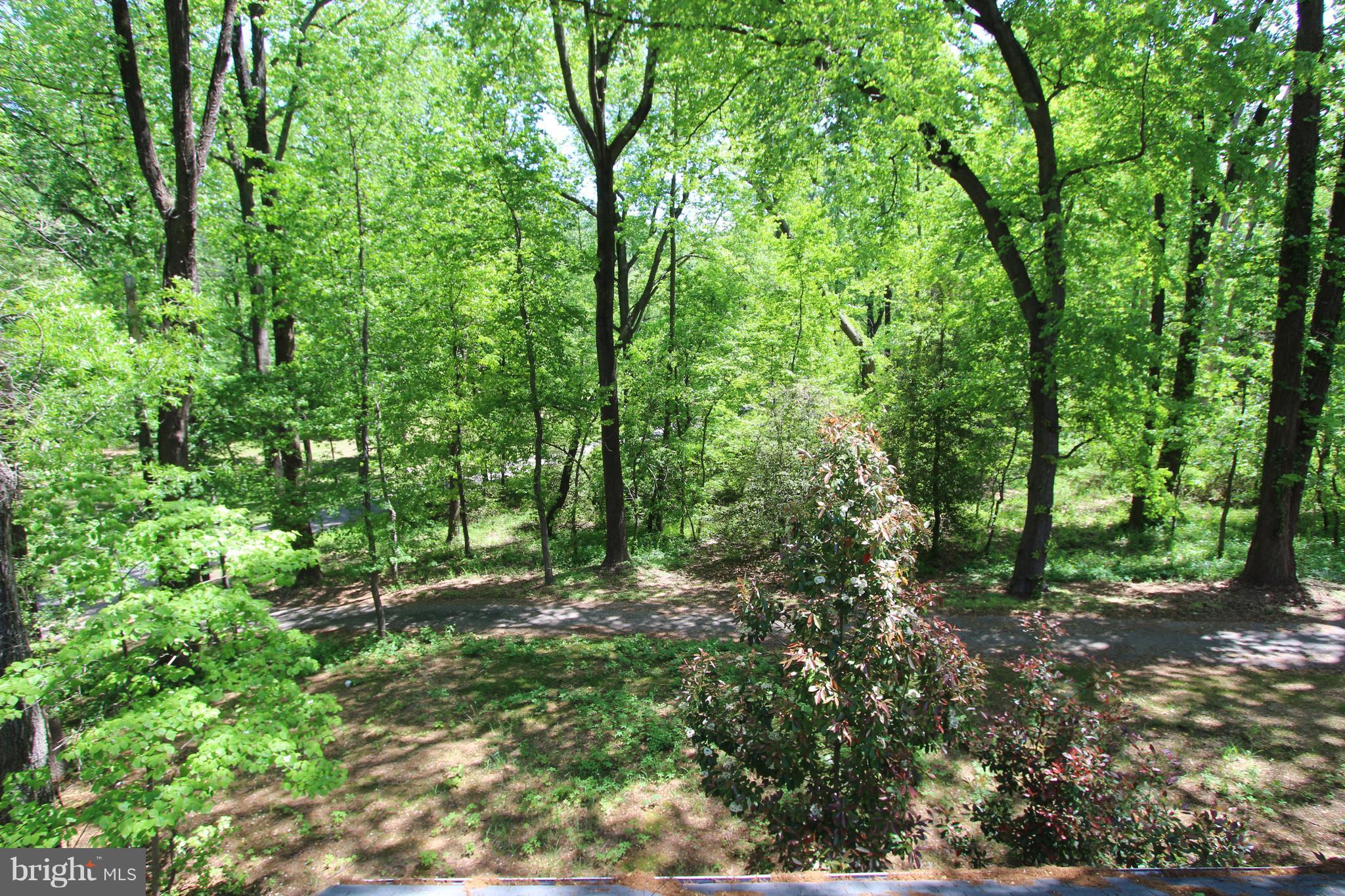 1711 St Giles Road Gibson Island, MD 21056 - Photo 8 of 21 Exterior (General)