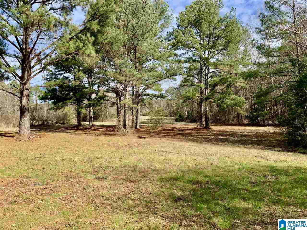 0 County Road 16 Calera, AL 35040 - Photo 18 of 22
