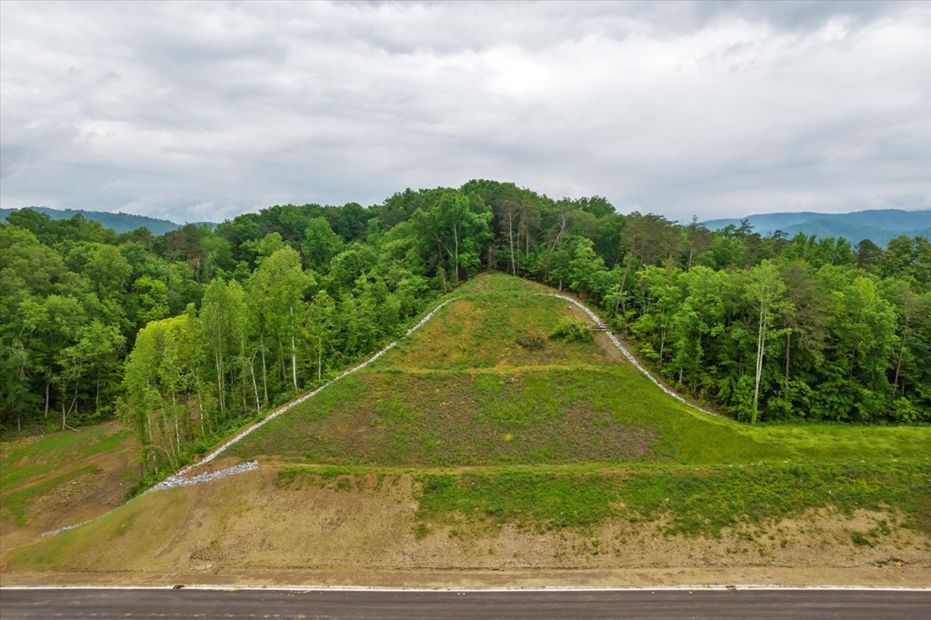 0 Jake Thomas Road Pigeon Forge, TN 37863 - Photo 5 of 8