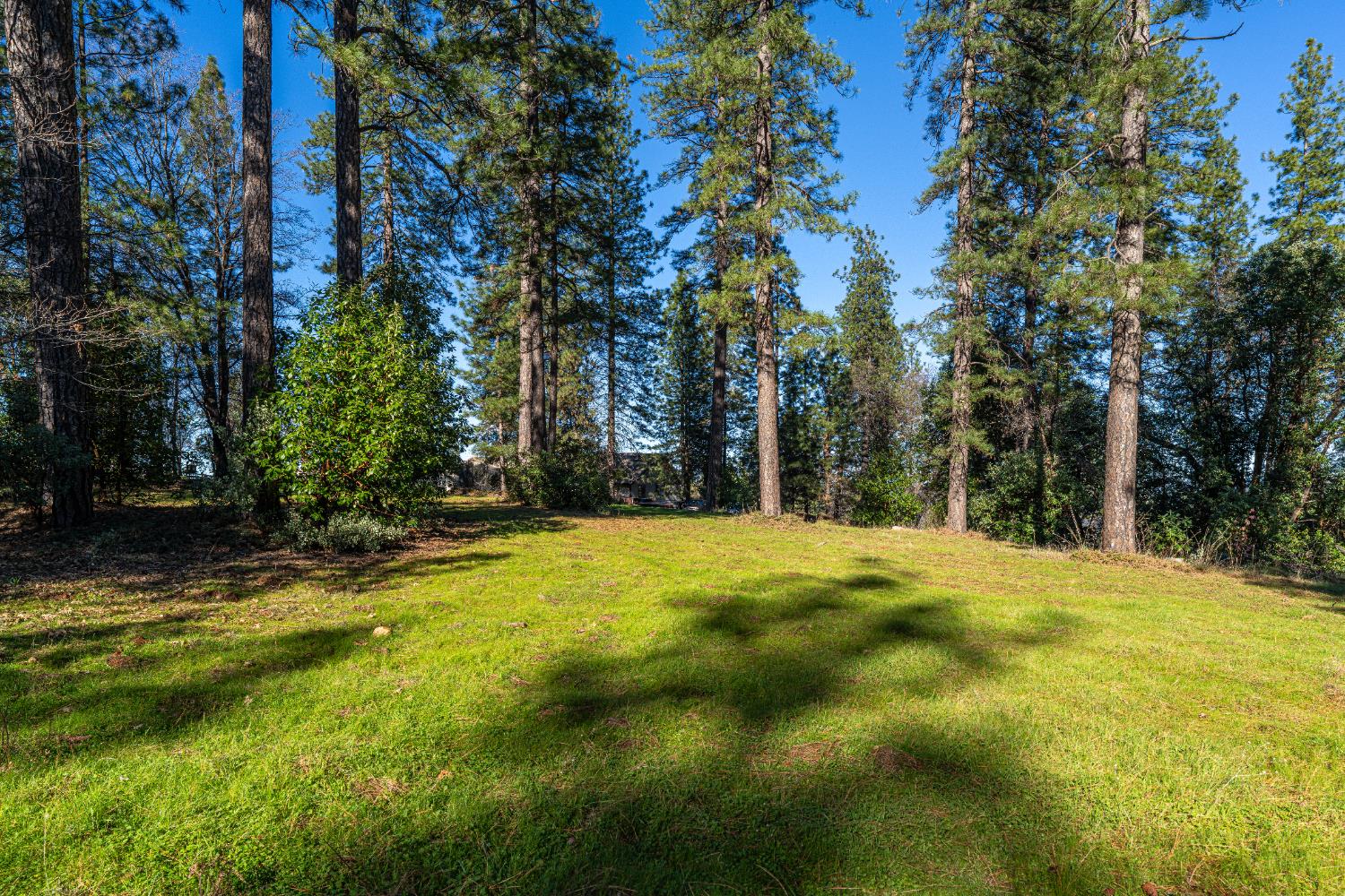 19654 Eagle Ridge Road Foresthill, CA 95631 - Photo 11 of 24