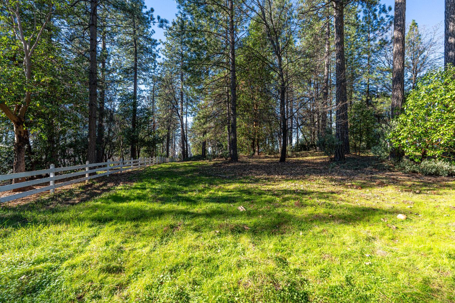 19654 Eagle Ridge Road Foresthill, CA 95631 - Photo 12 of 24