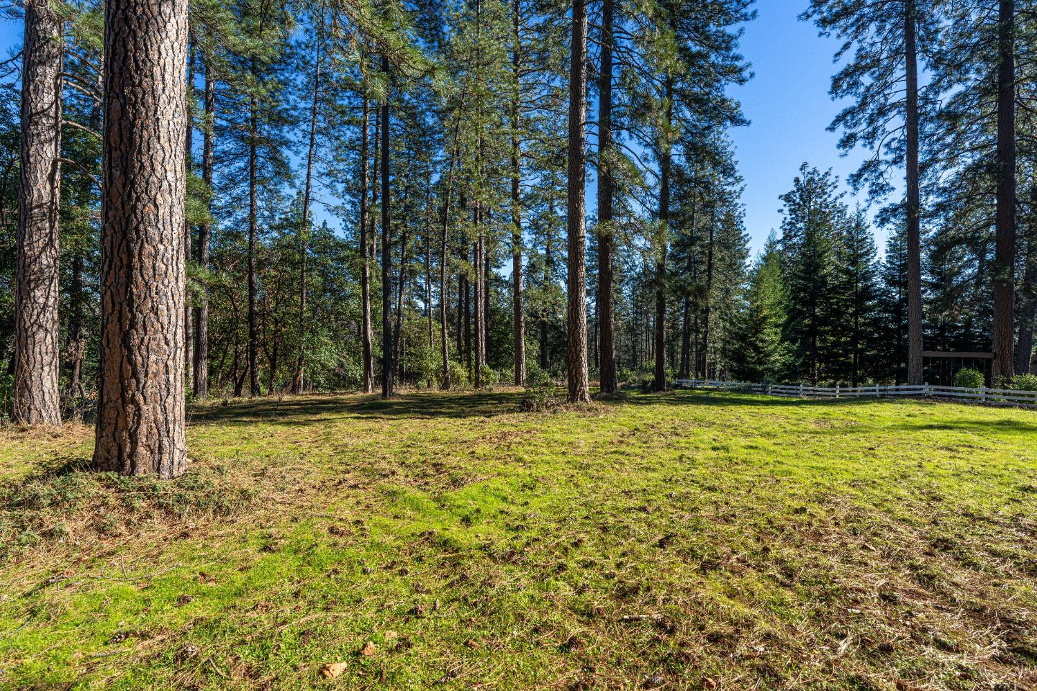 19654 Eagle Ridge Road Foresthill, CA 95631 - Photo 13 of 24