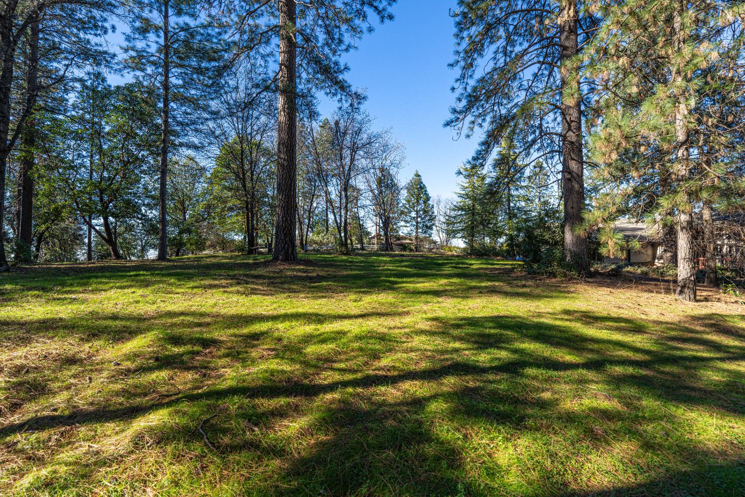 19654 Eagle Ridge Road Foresthill, CA 95631 - Photo 14 of 24